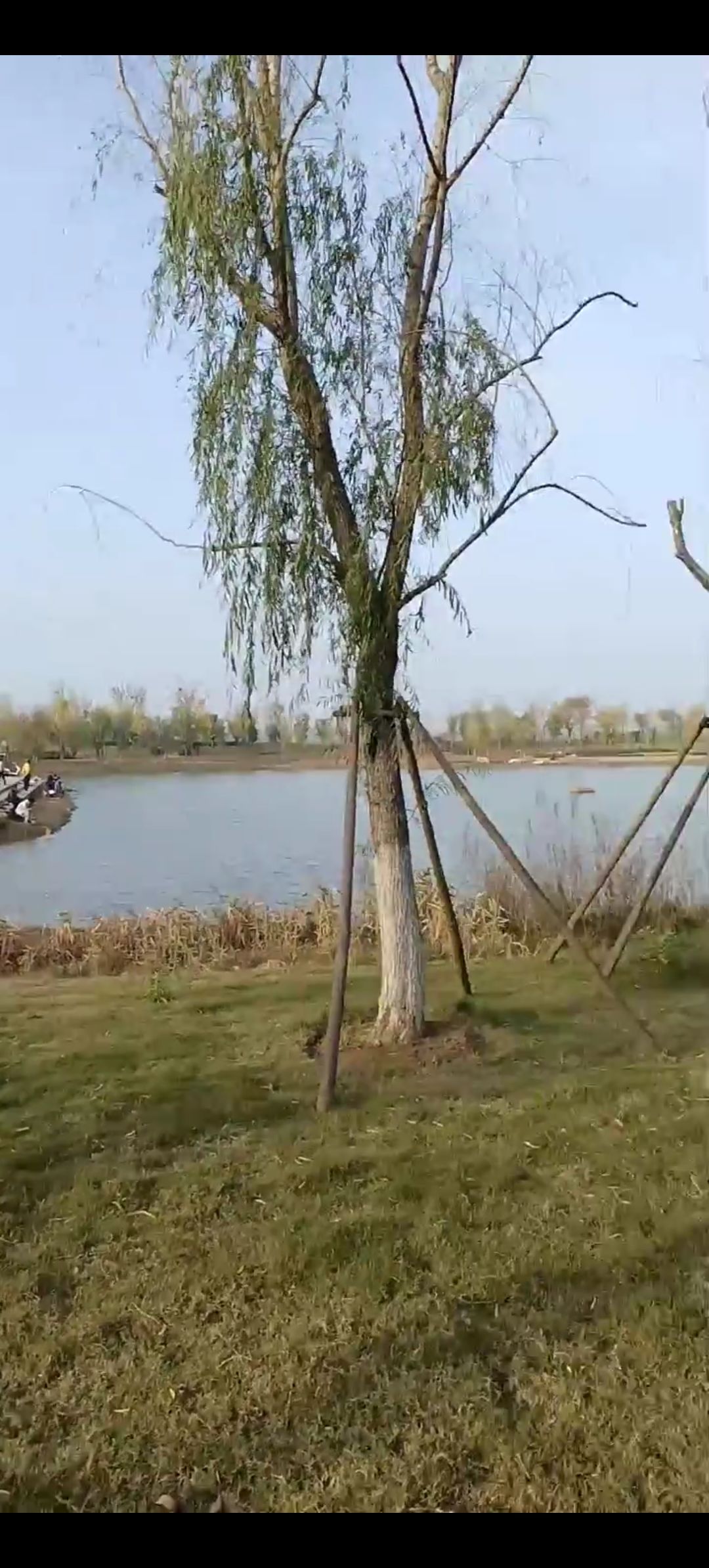 长丰念湖公园旅行图片 3