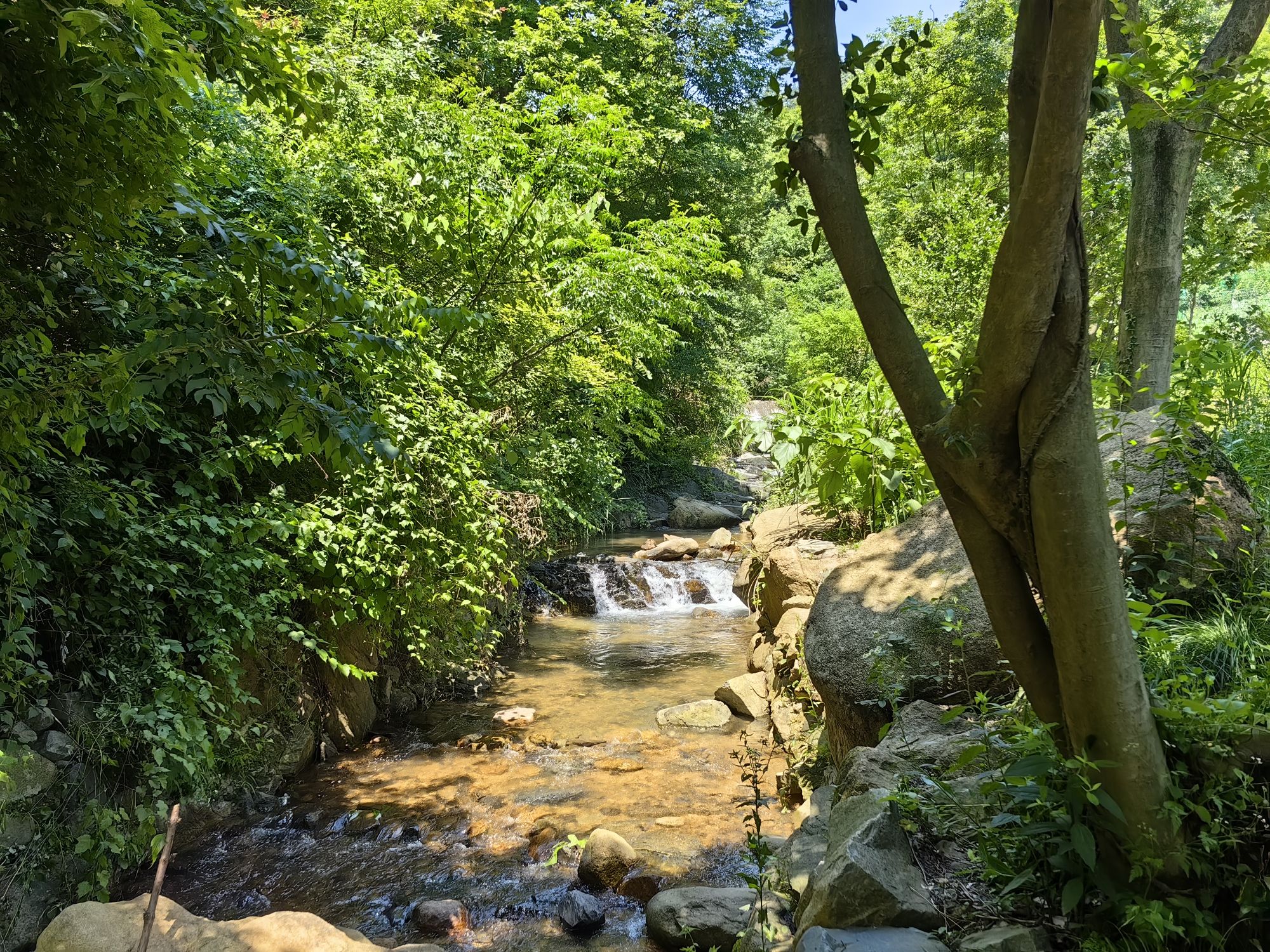 吴国亭风景区旅行图片 2