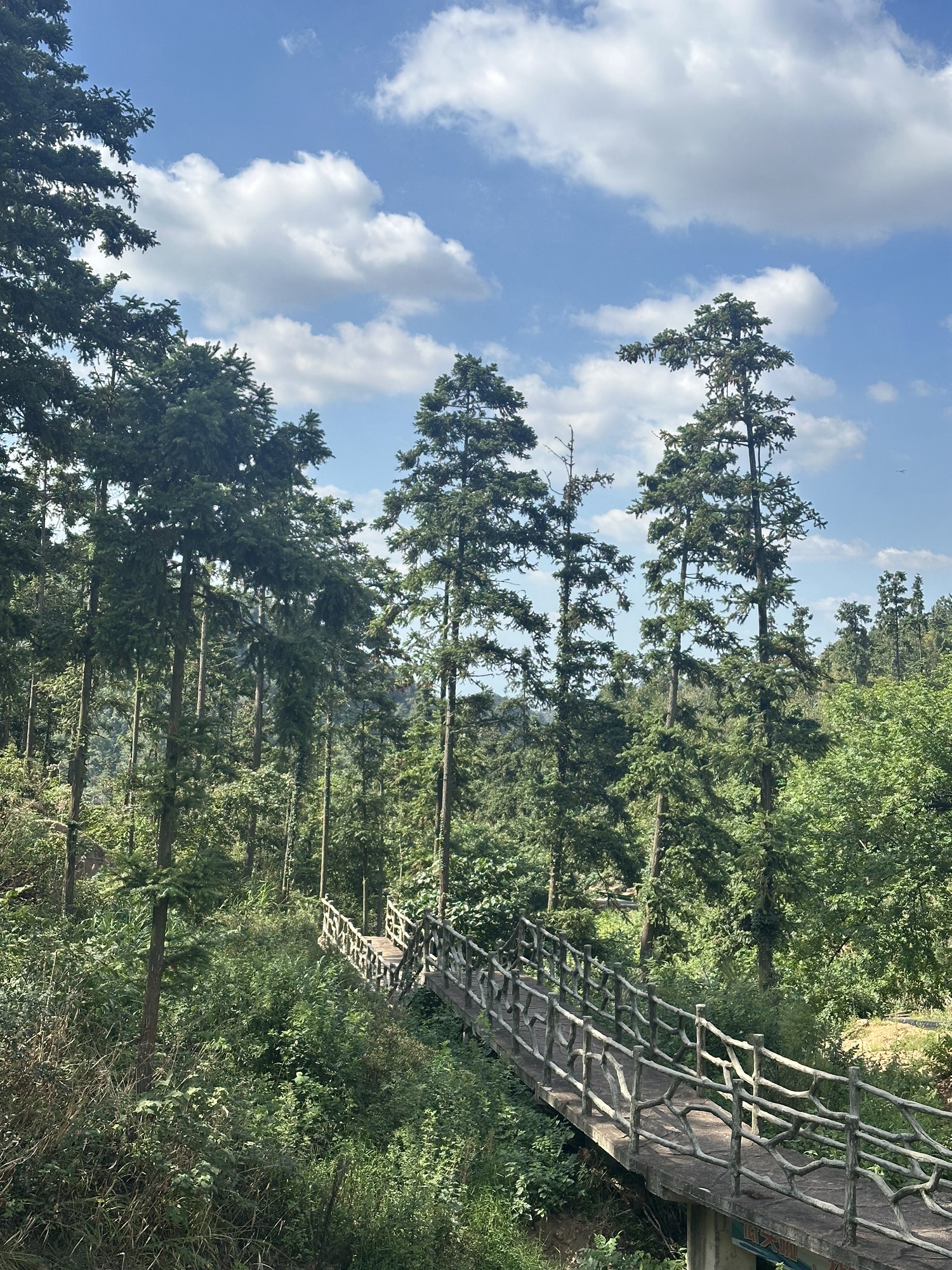 吴国亭风景区旅行图片 3