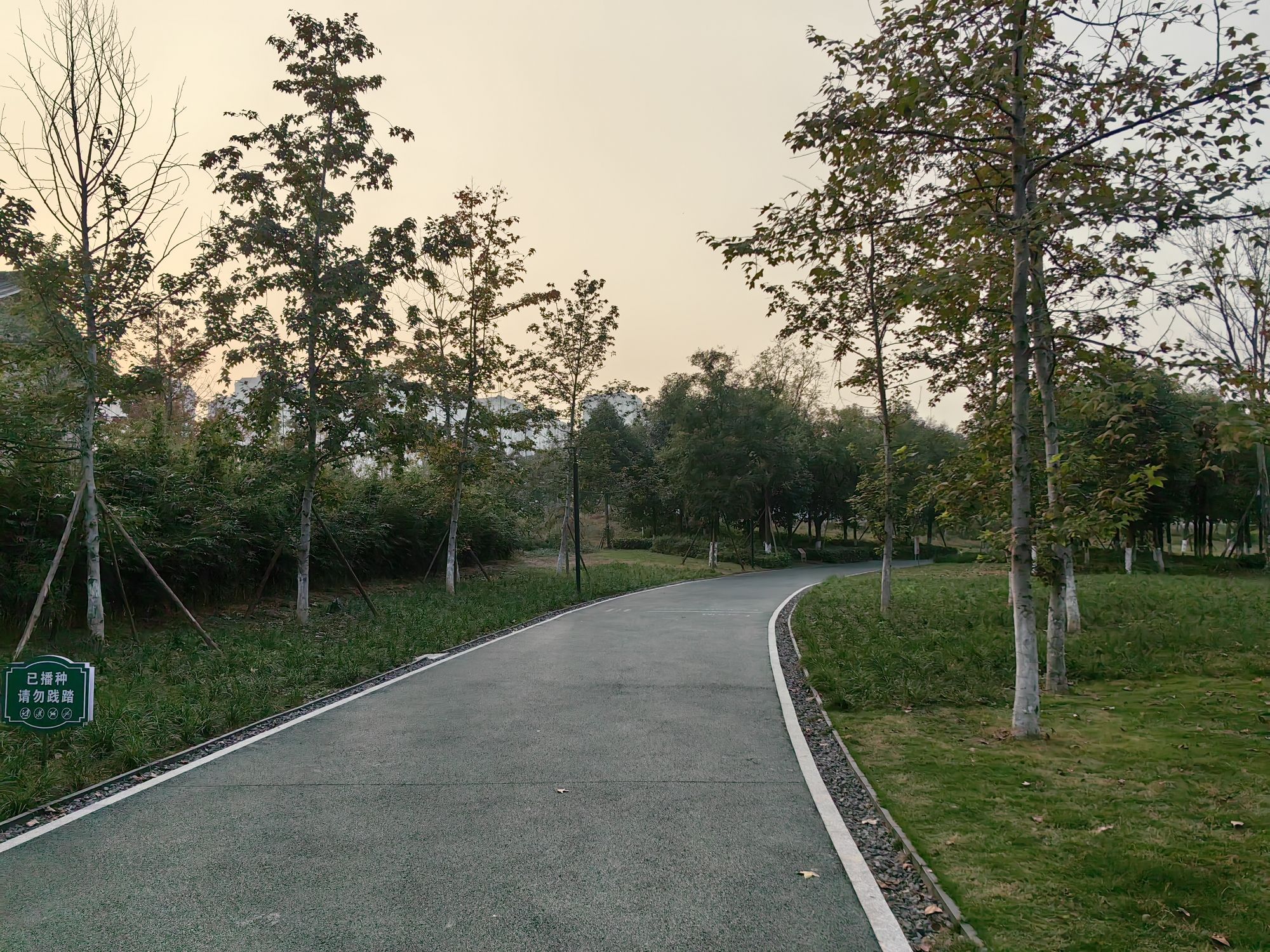 竹韵廊公园旅行图片 2