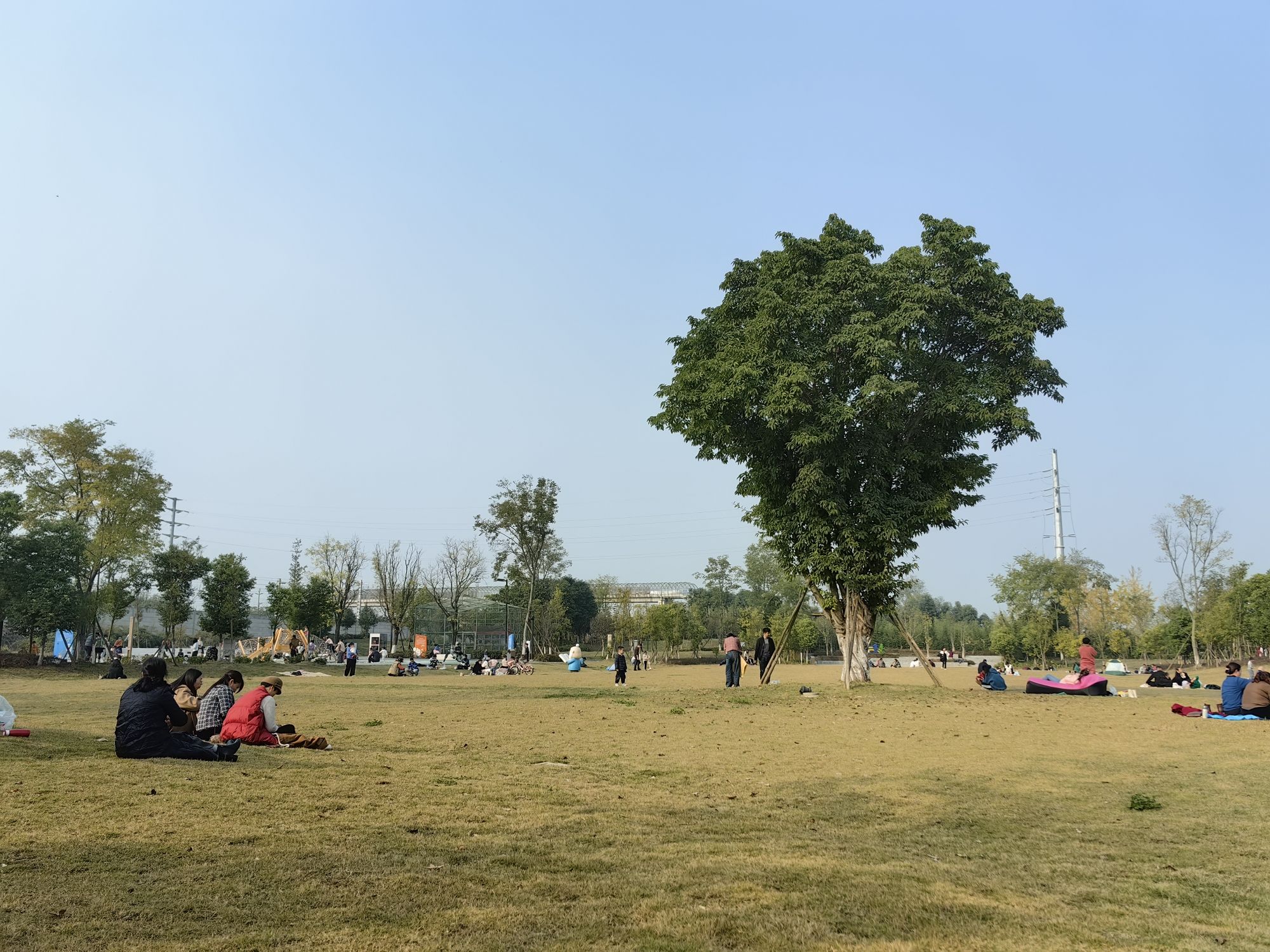 竹韵廊公园旅行图片 1