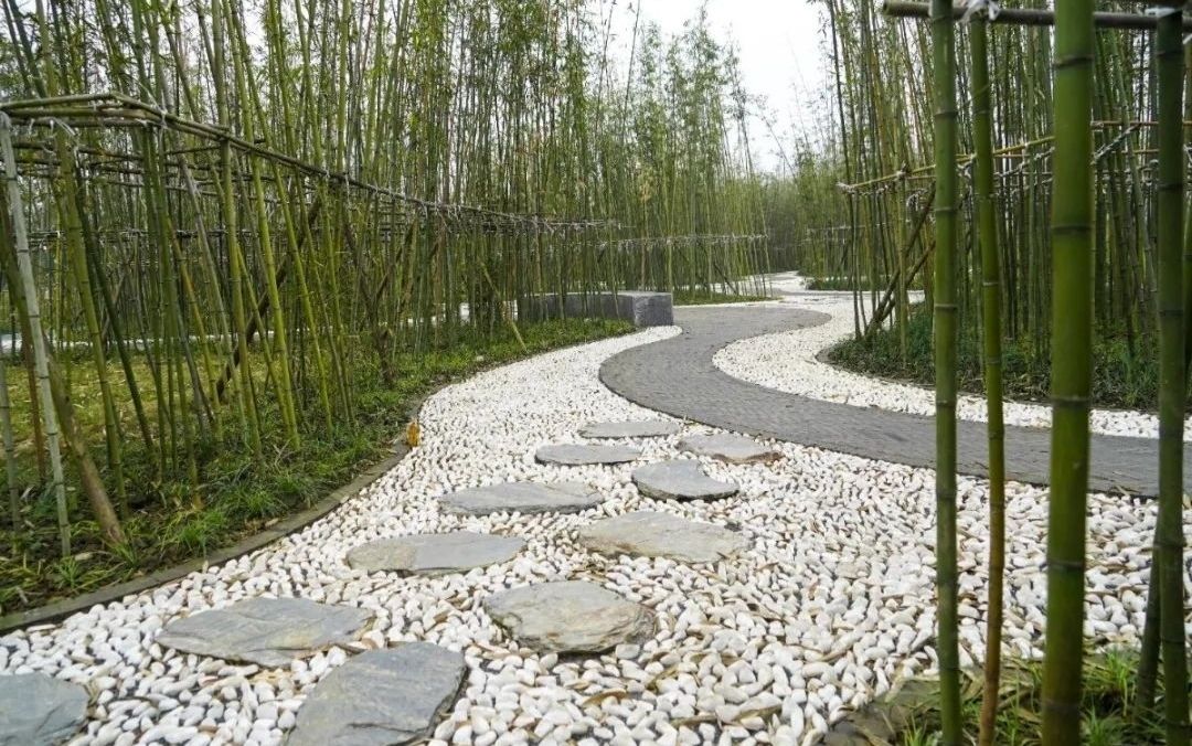 竹韵廊公园旅行图片 2