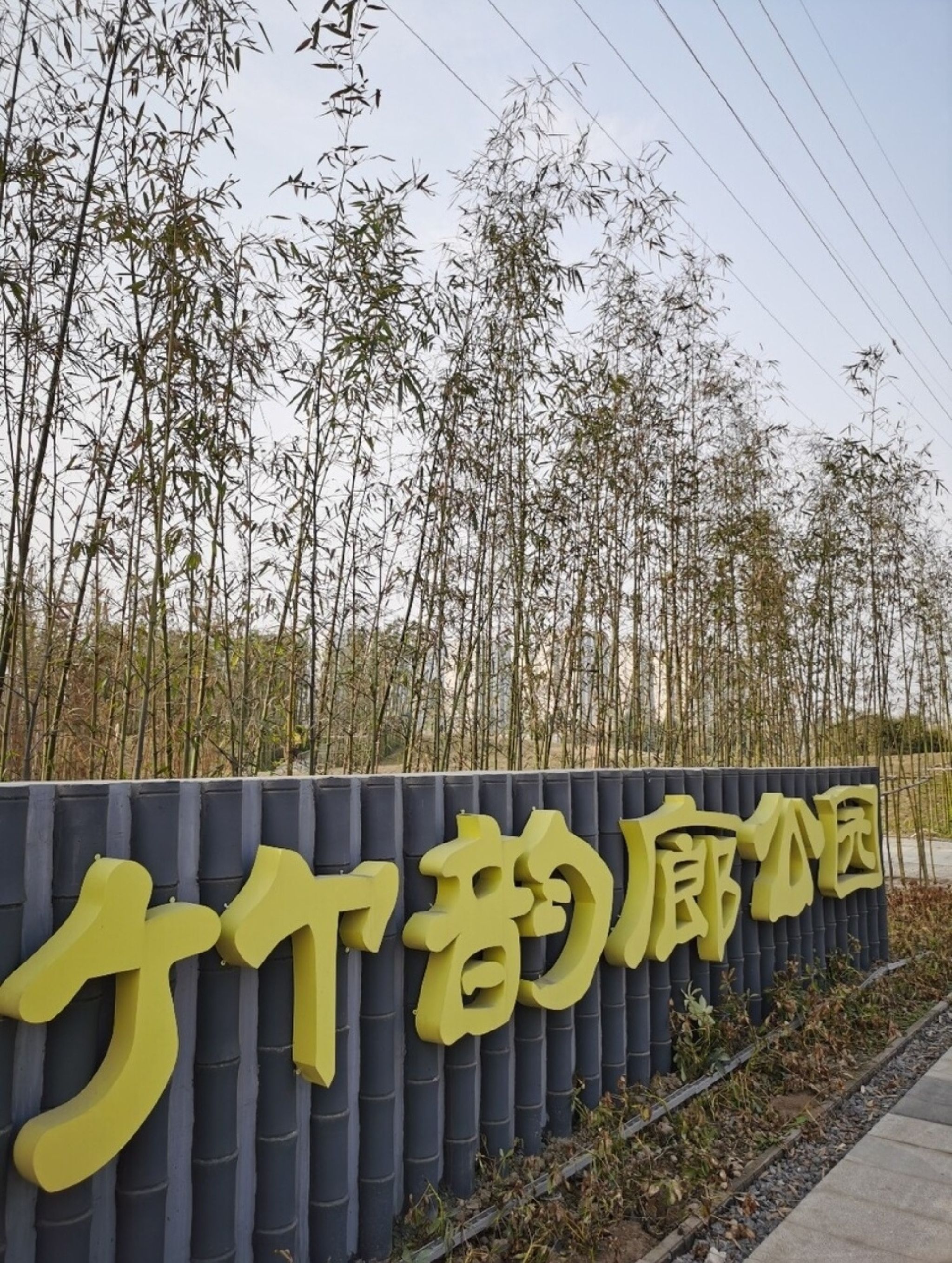 竹韵廊公园旅行图片 1