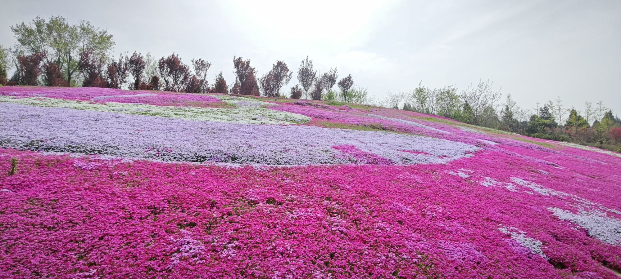 渭南市郊野公园