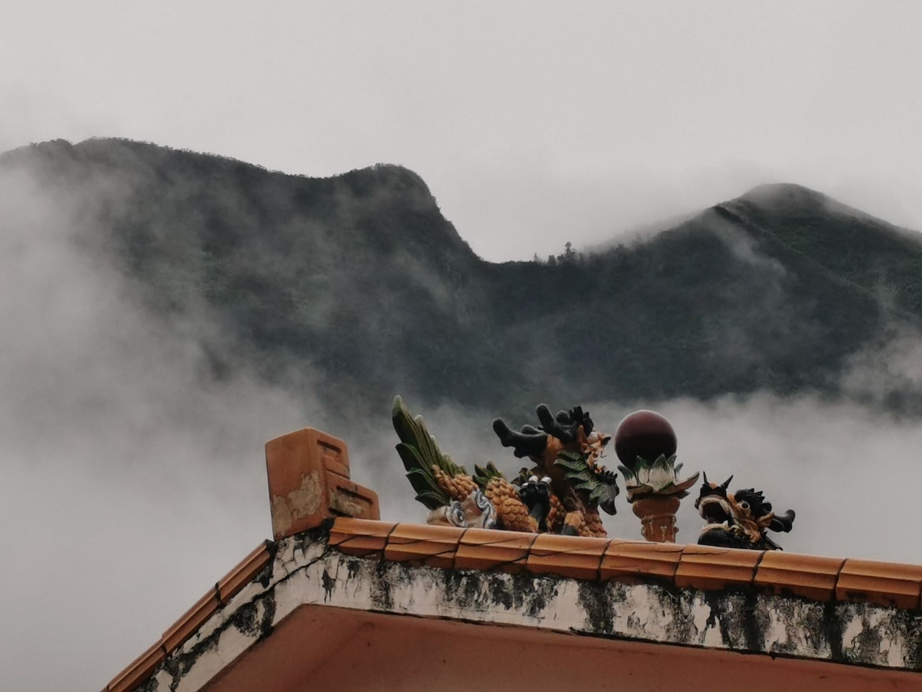 古树公园旅行图片 2