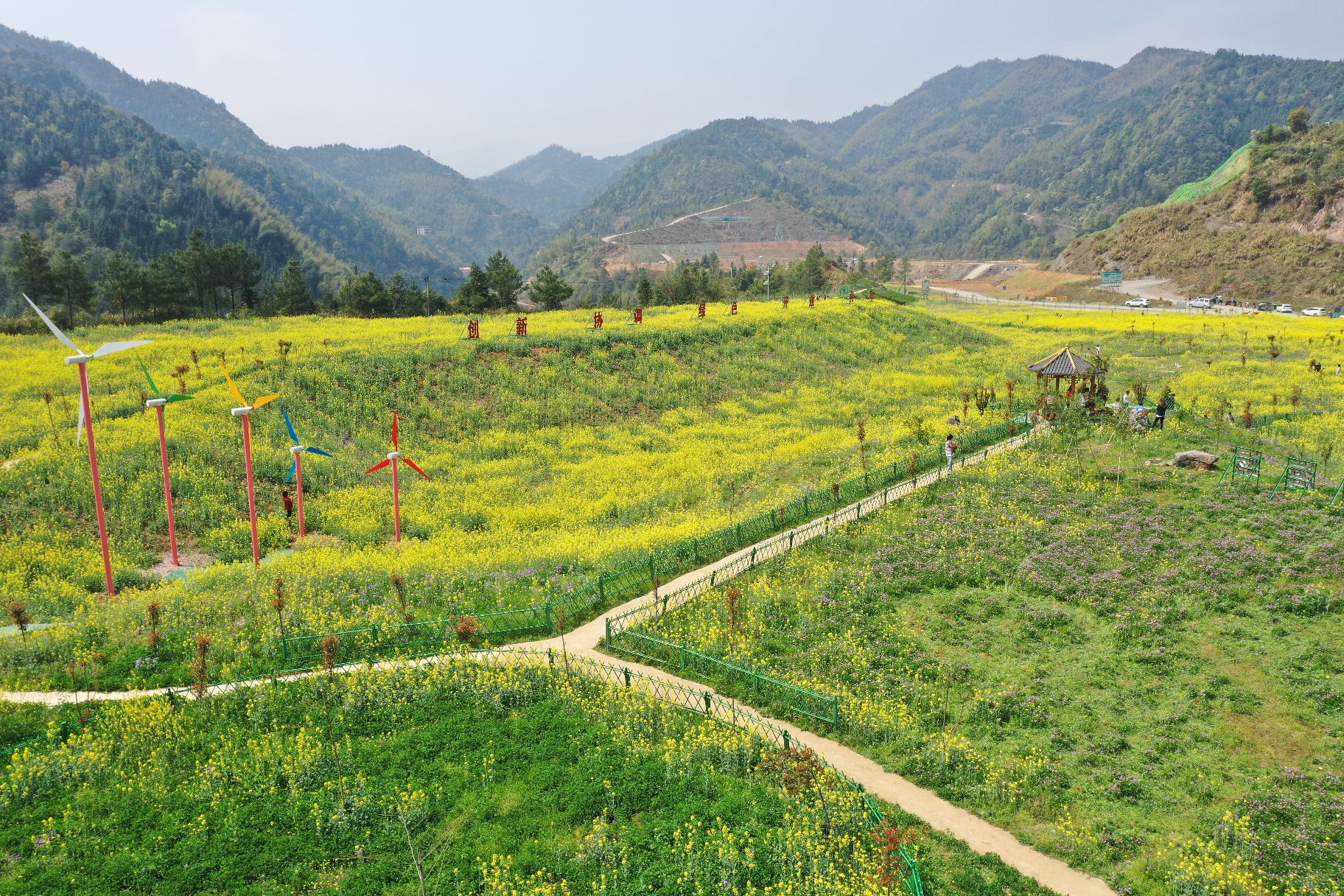 湖南海螺山冲花海旅行图片 3