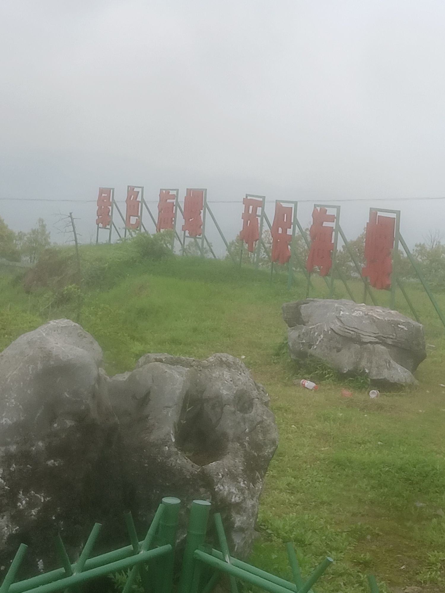 湖南海螺山冲花海旅行图片 1
