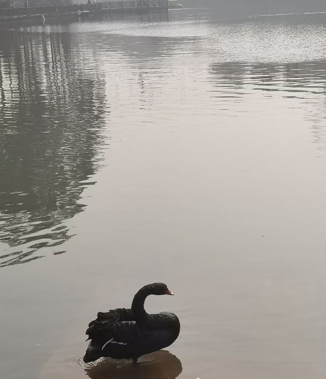 桂花湖亲子乐园旅行图片 3