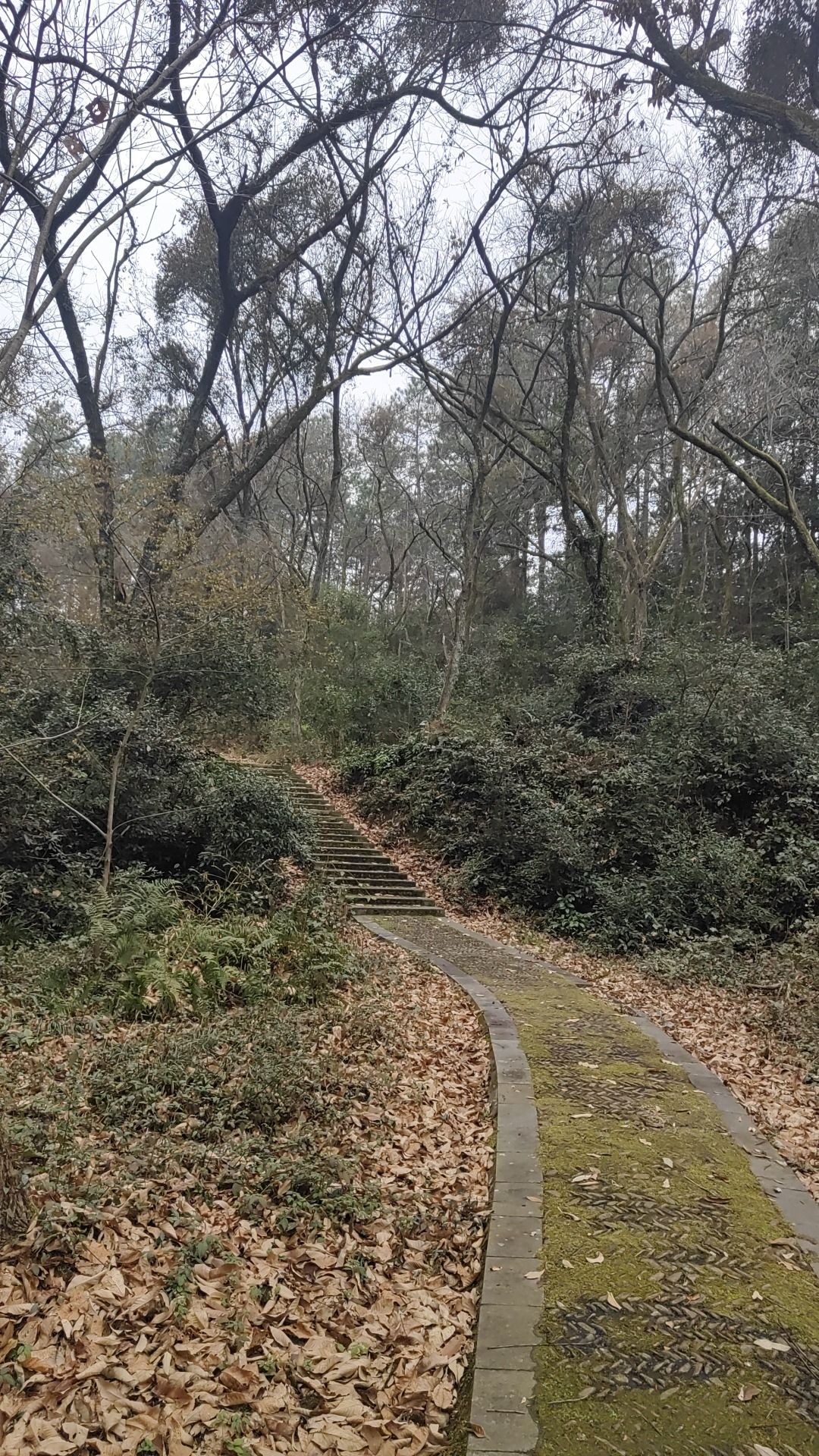 上清宫登山步道