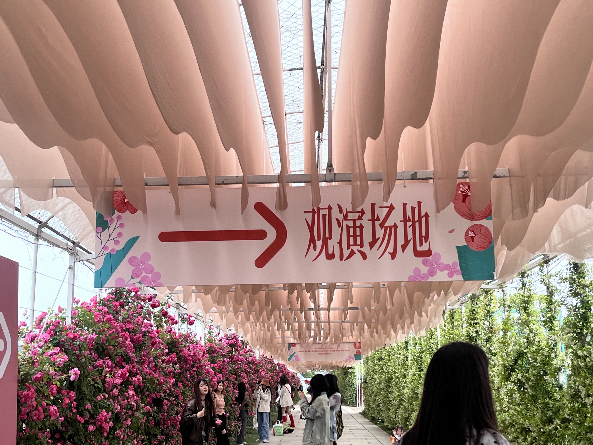 石淙花海·花田囍市旅行图片 2