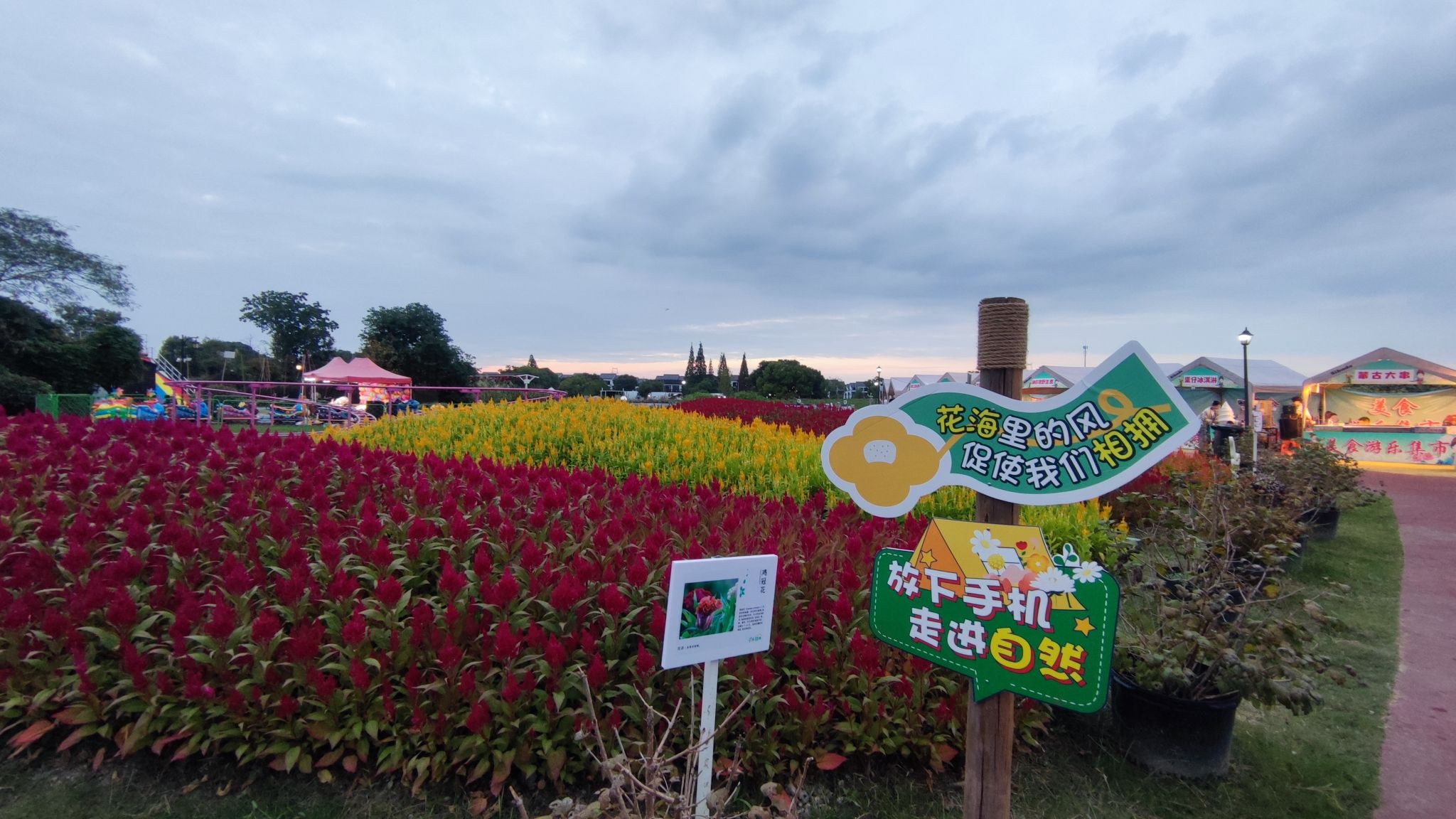石淙花海·花田囍市旅行图片 2
