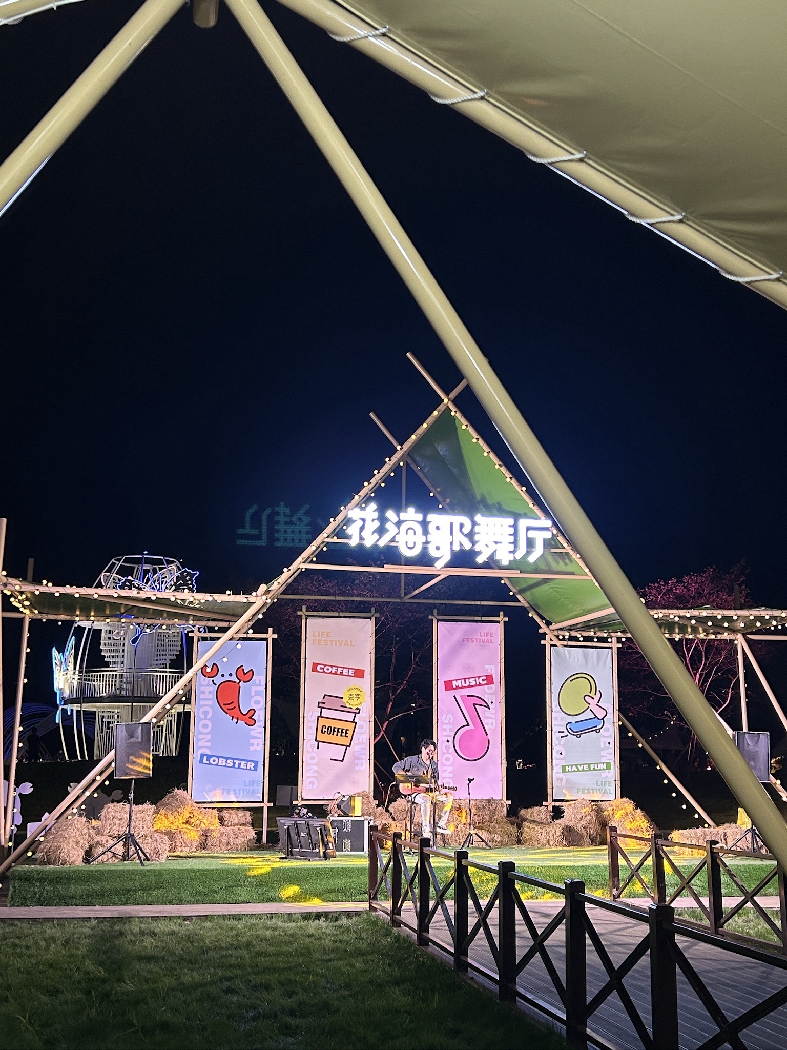 石淙花海·花田囍市旅行图片 3
