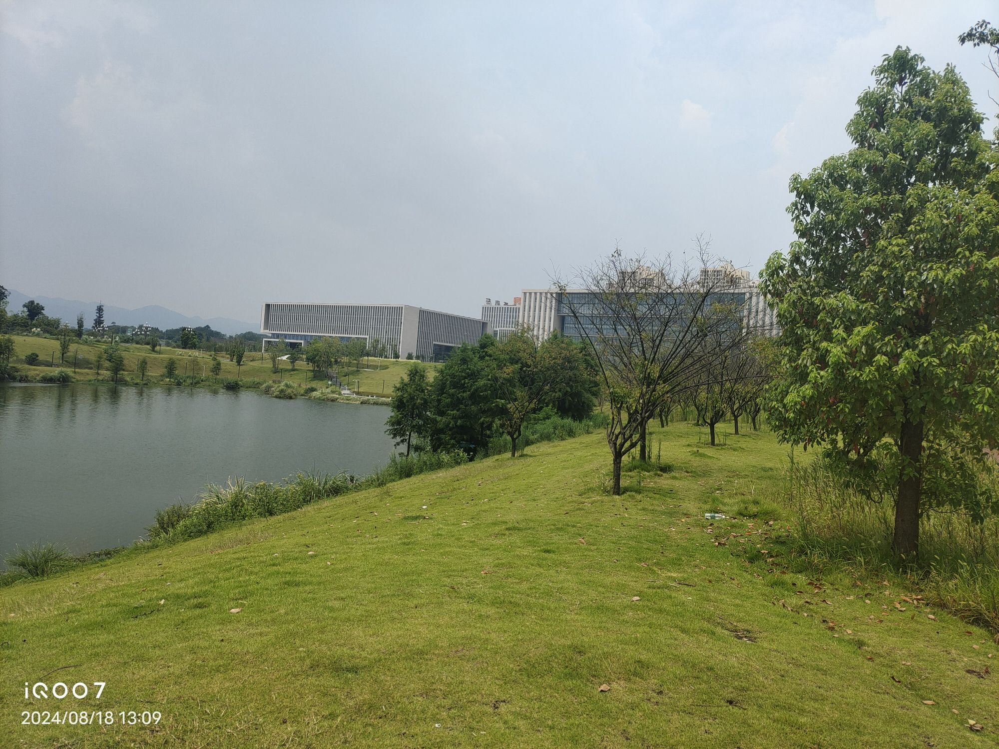 五云湖公园旅行图片 2