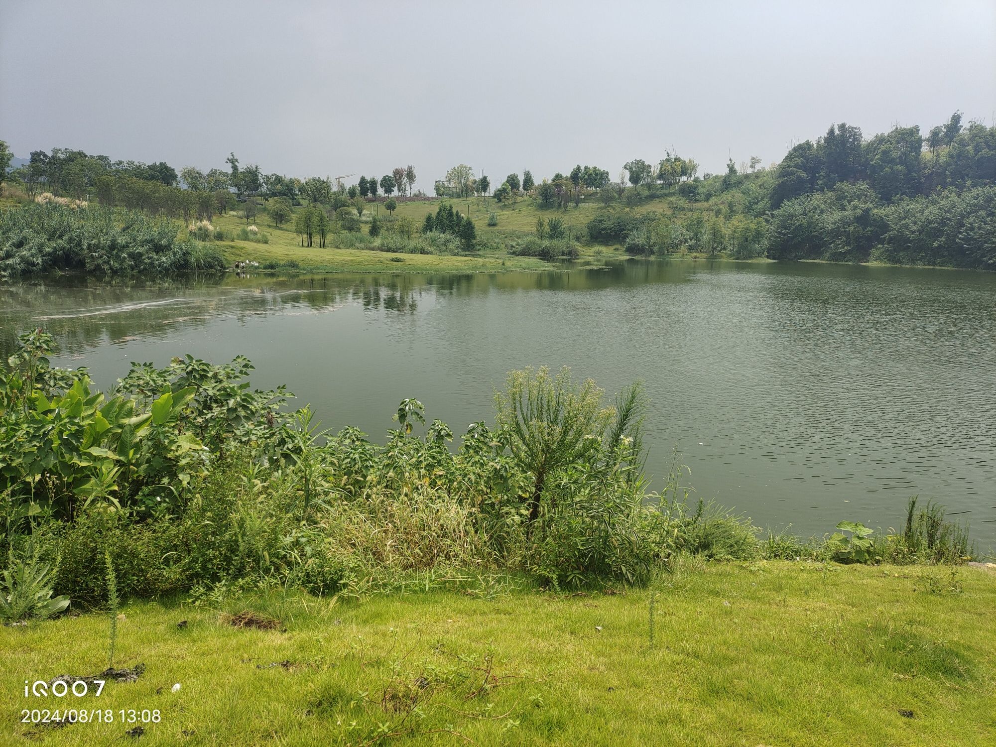 五云湖公园旅行图片 1