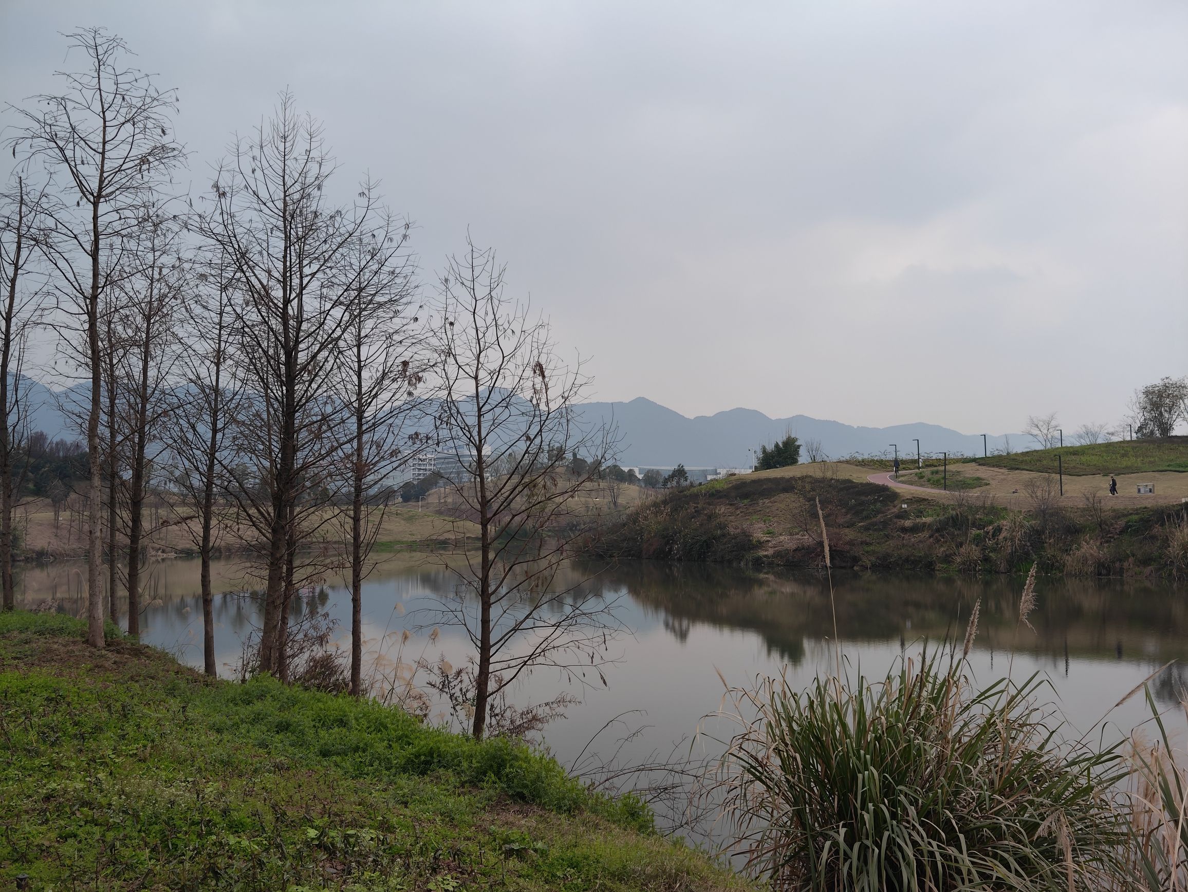 五云湖公园旅行图片 2