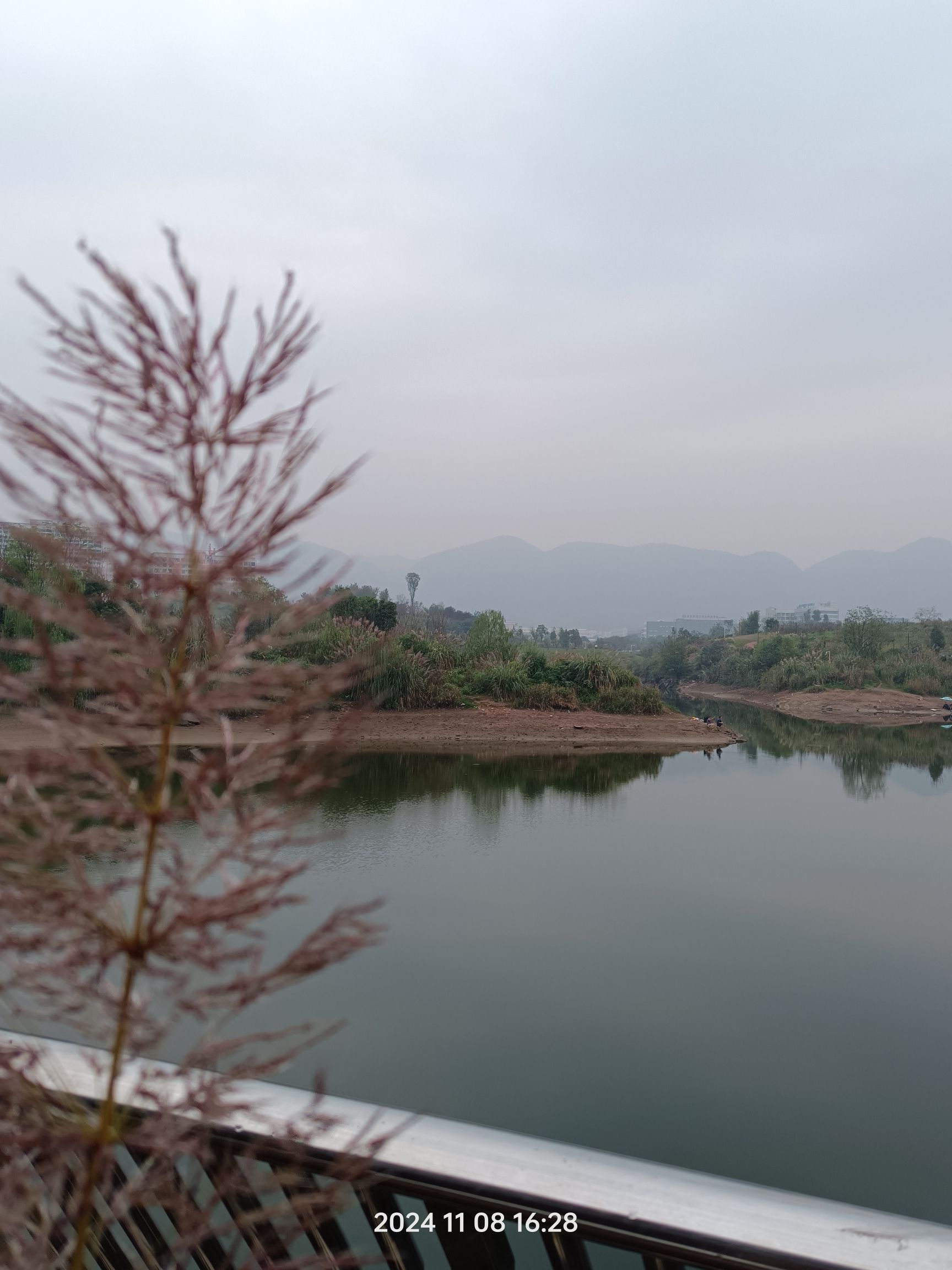 五云湖公园旅行图片 2