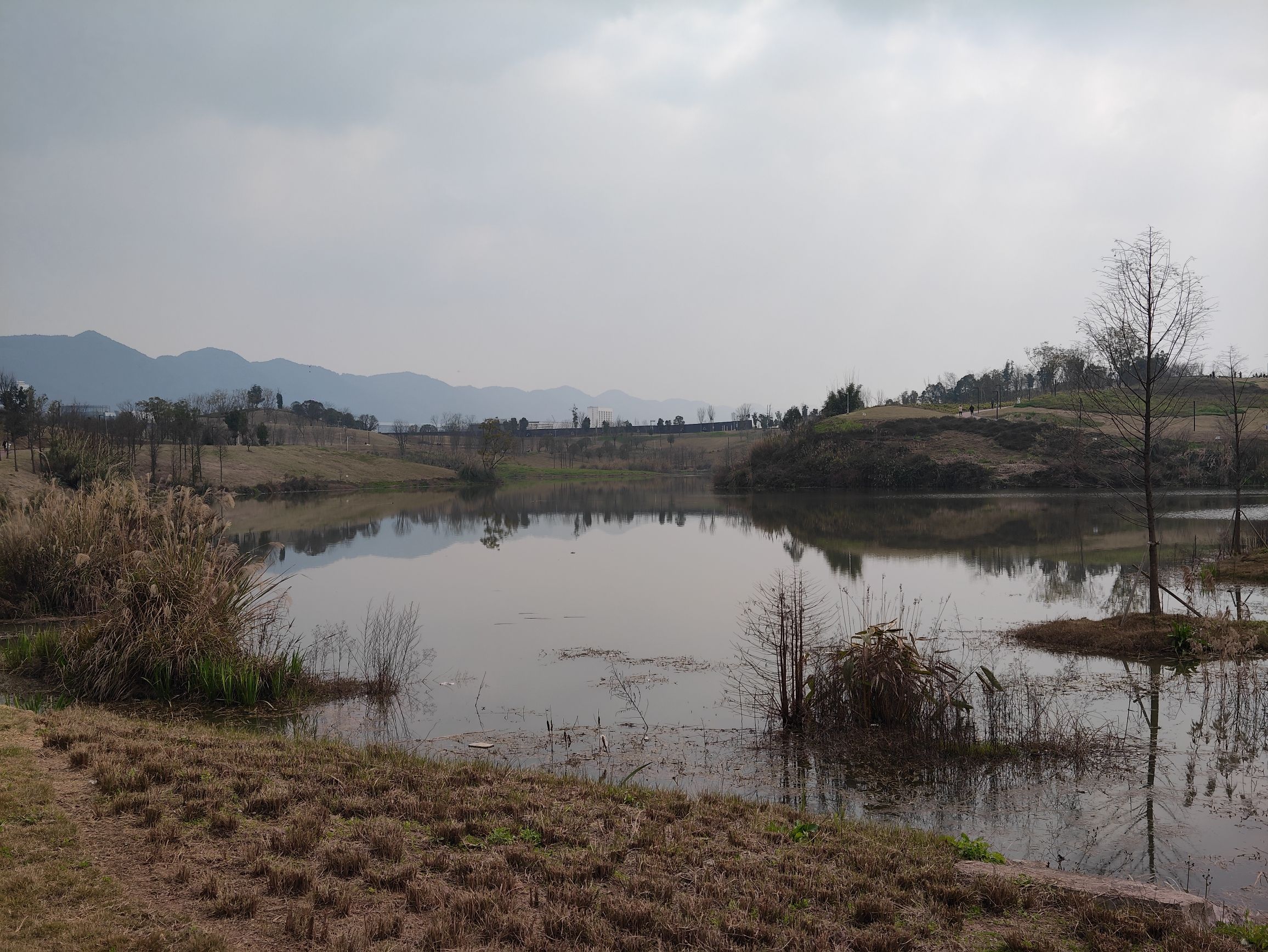 五云湖公园旅行图片 1