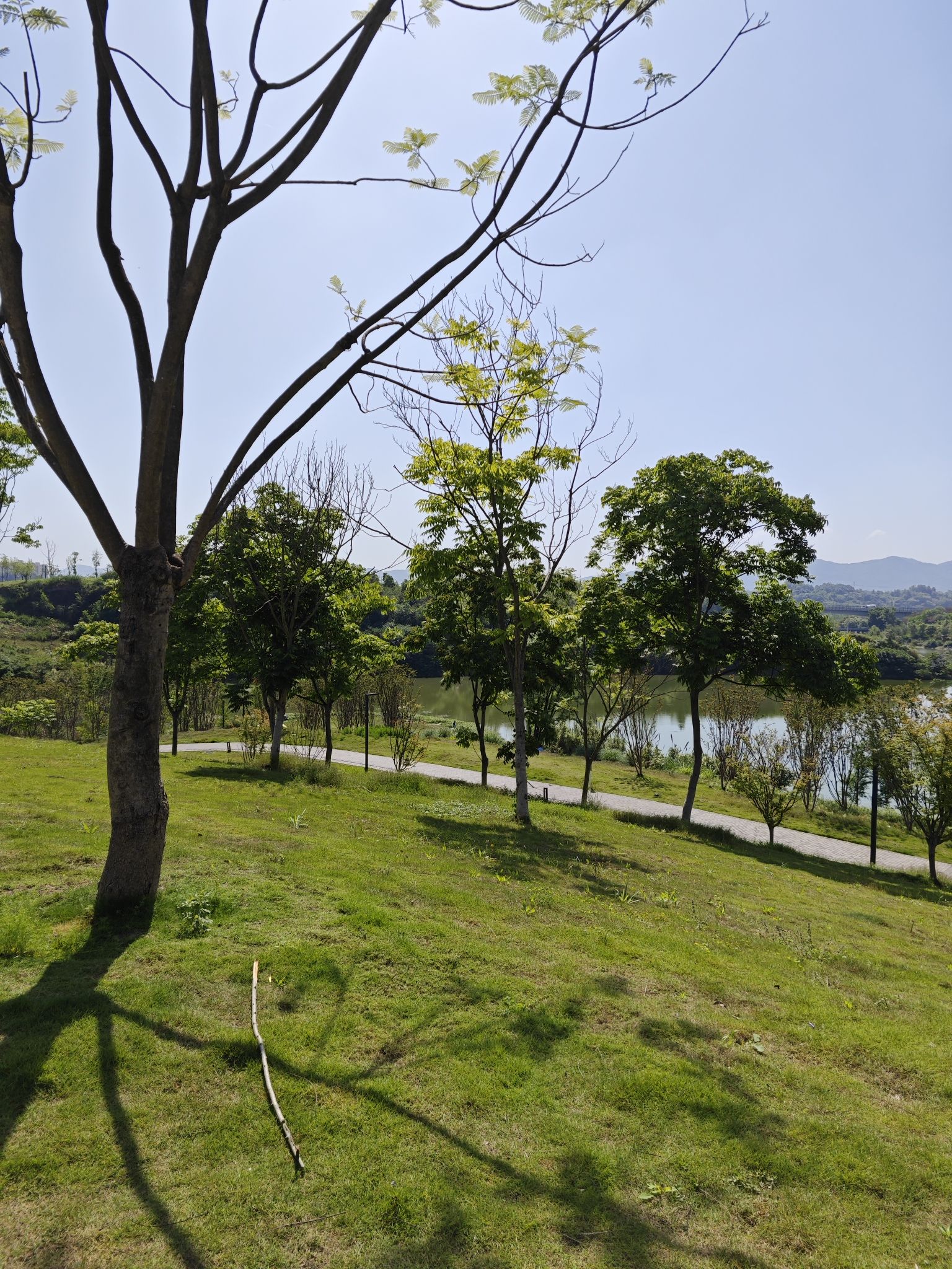 五云湖公园旅行图片 2