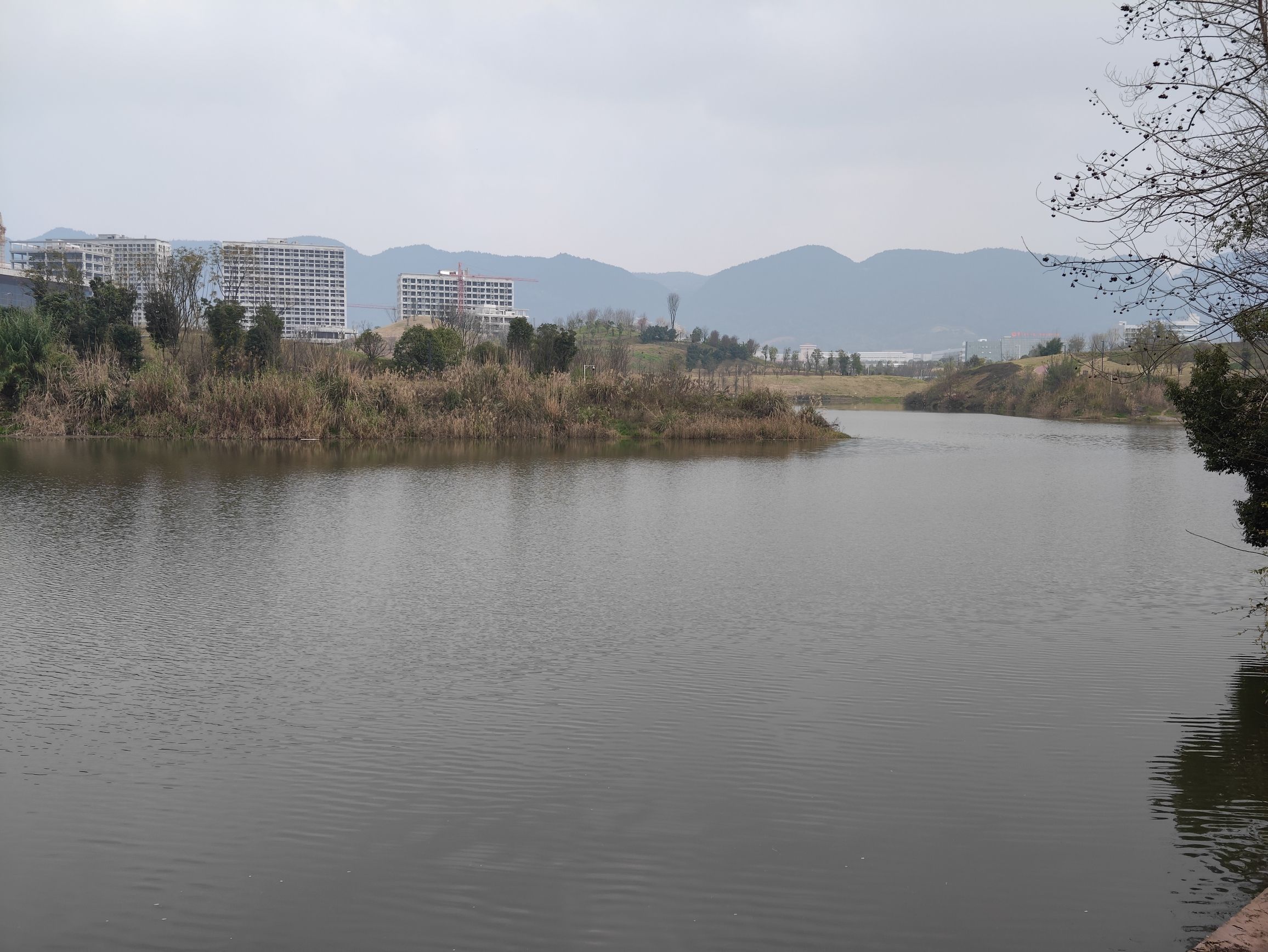 五云湖公园旅行图片 3