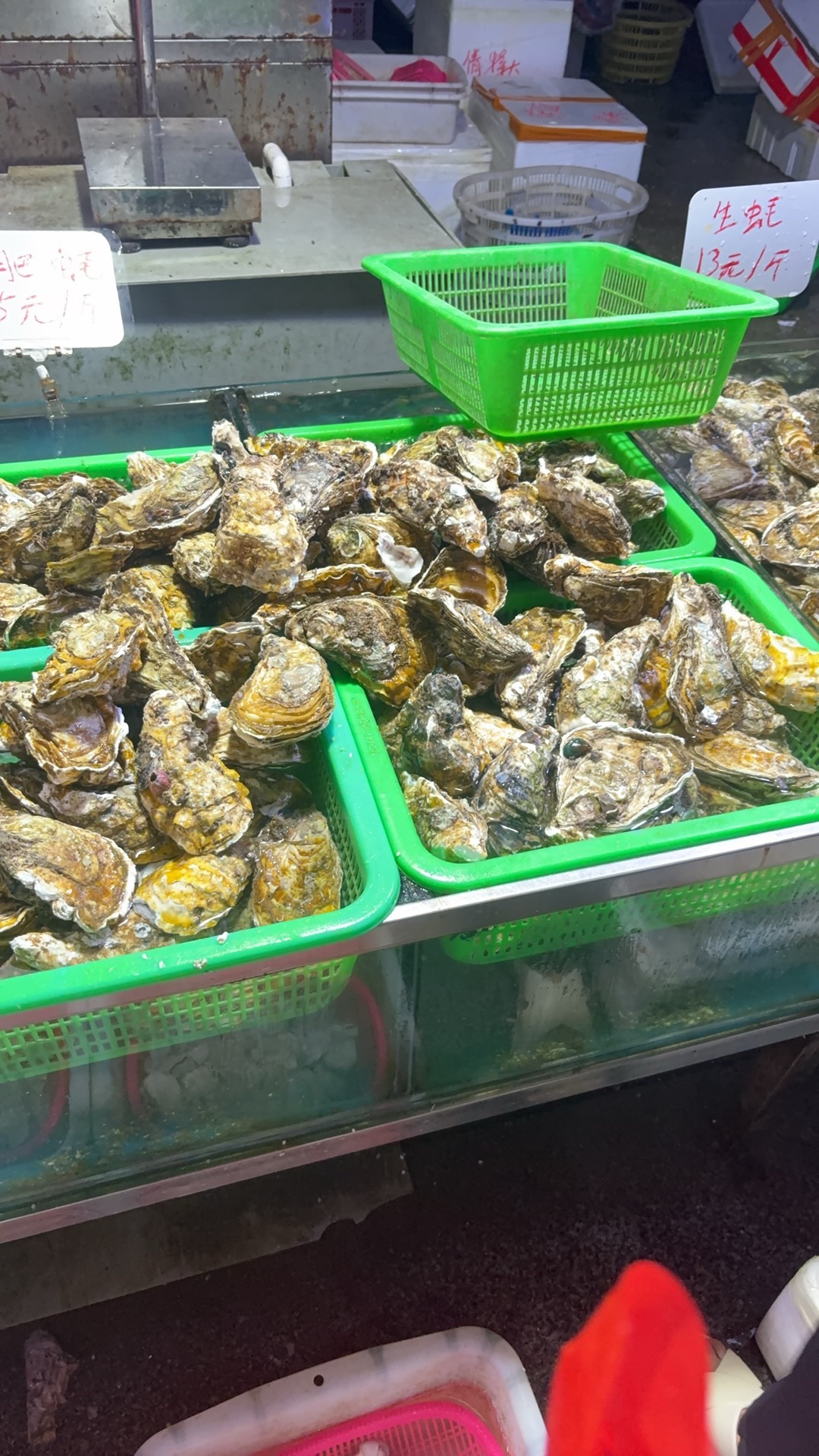 海鲜水产综合批发市场