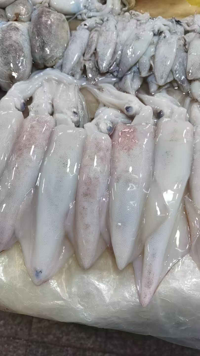 海鲜水产综合批发市场