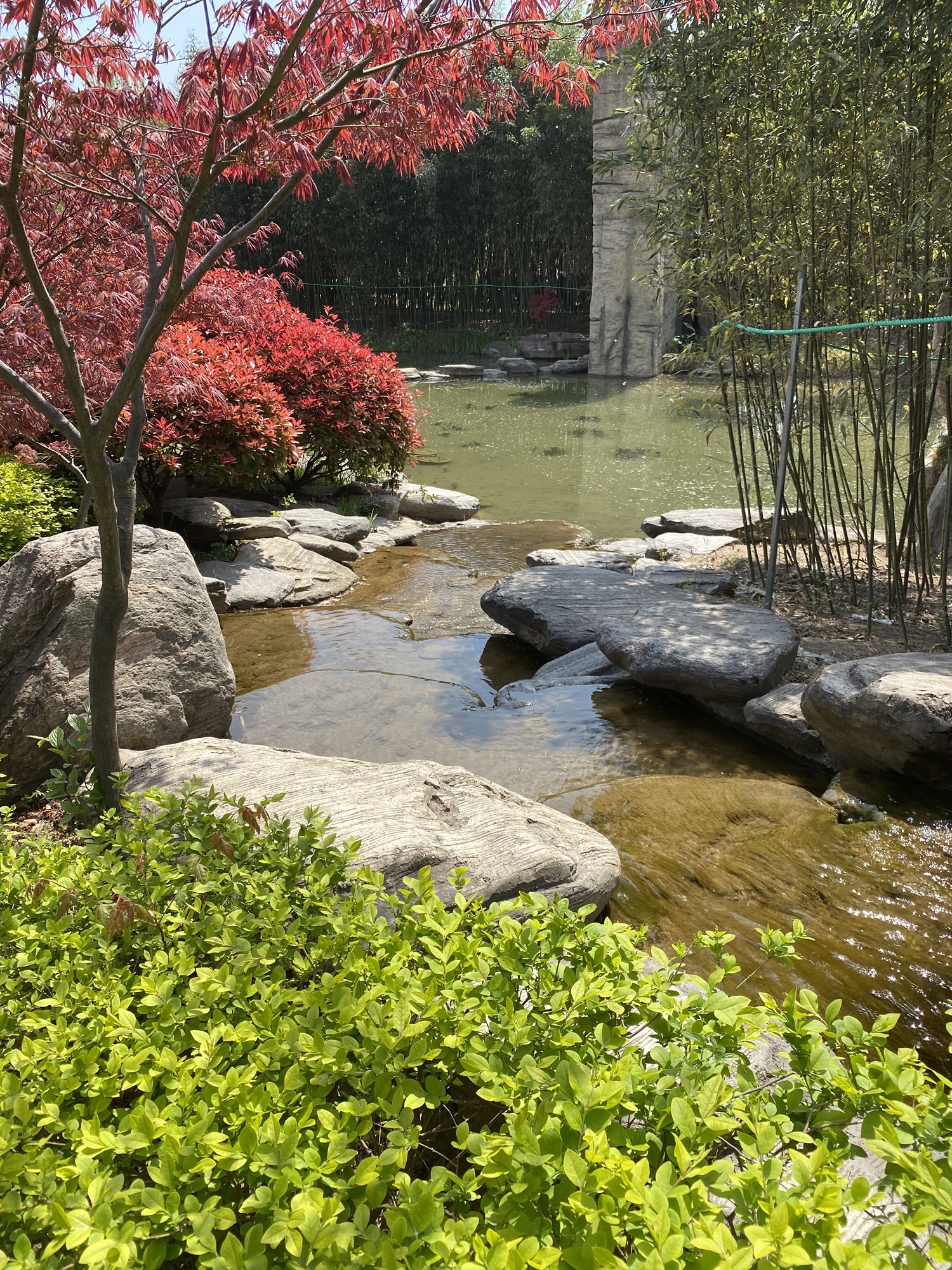植物园旅行图片 3