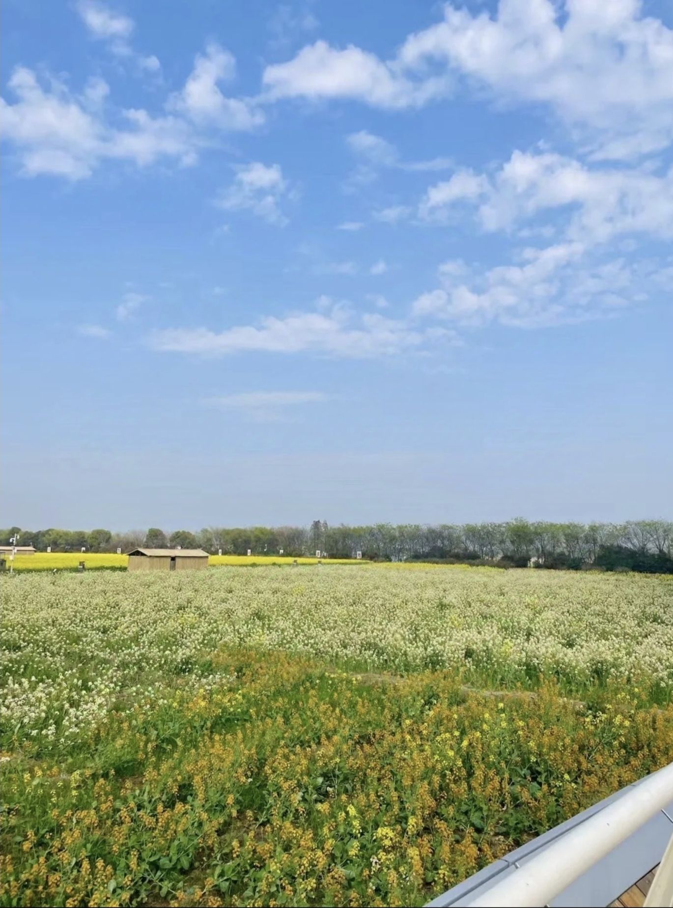 莲花荡旅行图片 1