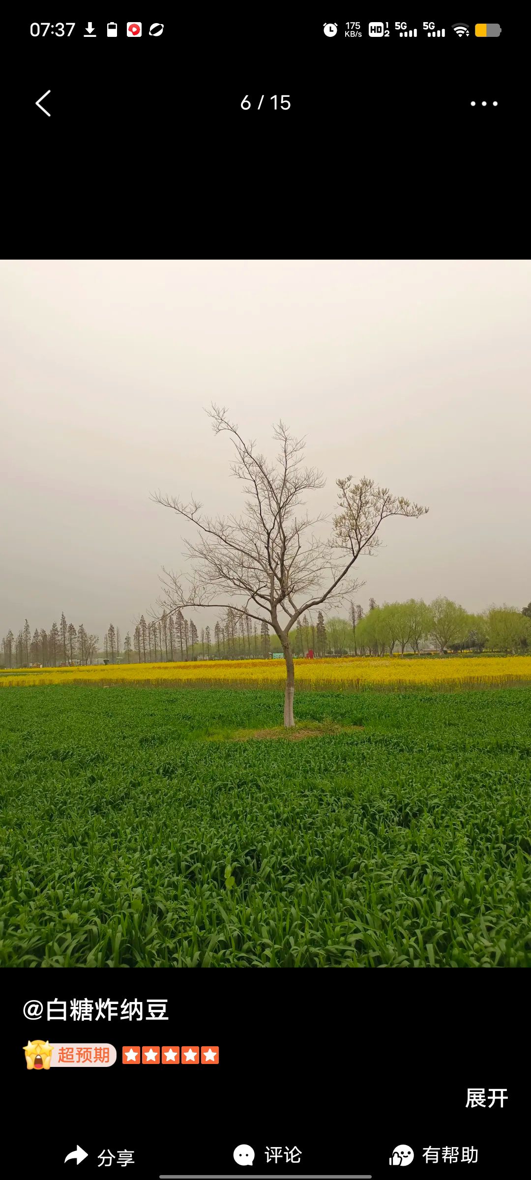 莲花荡旅行图片 3