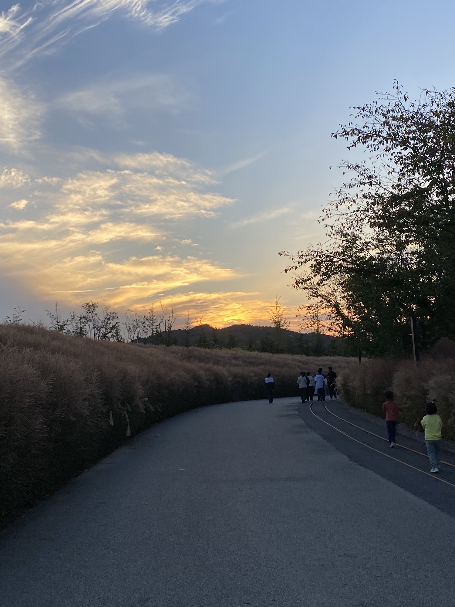 白鹭湾小镇旅行图片 2