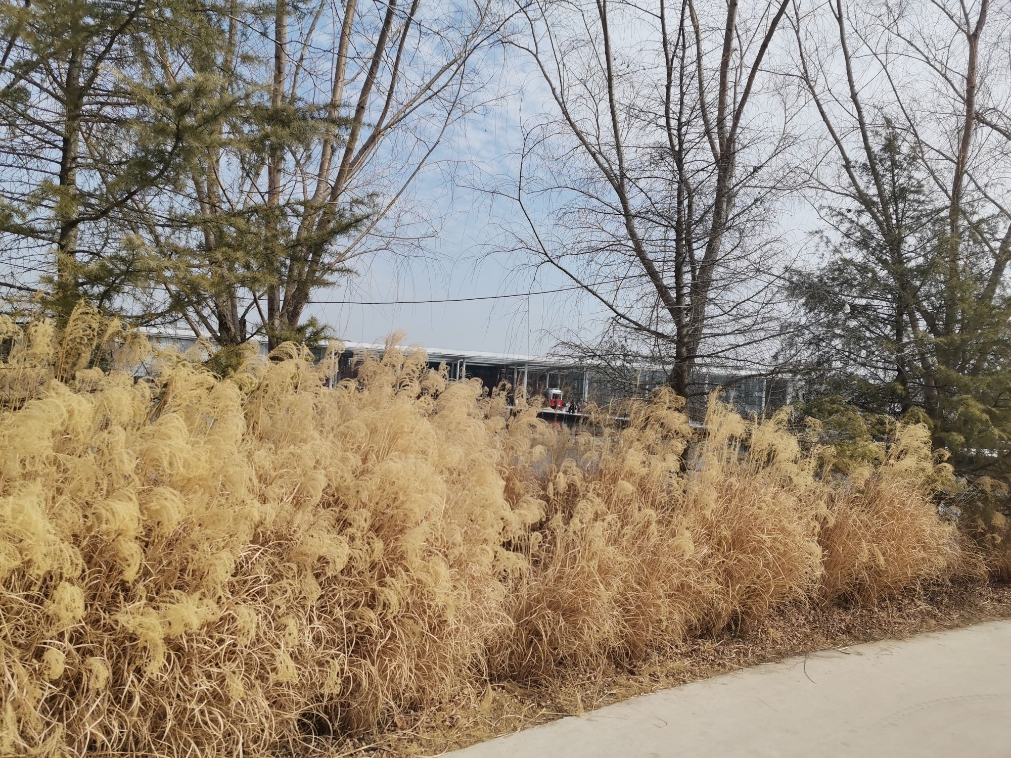 白鹭湾小镇旅行图片 3