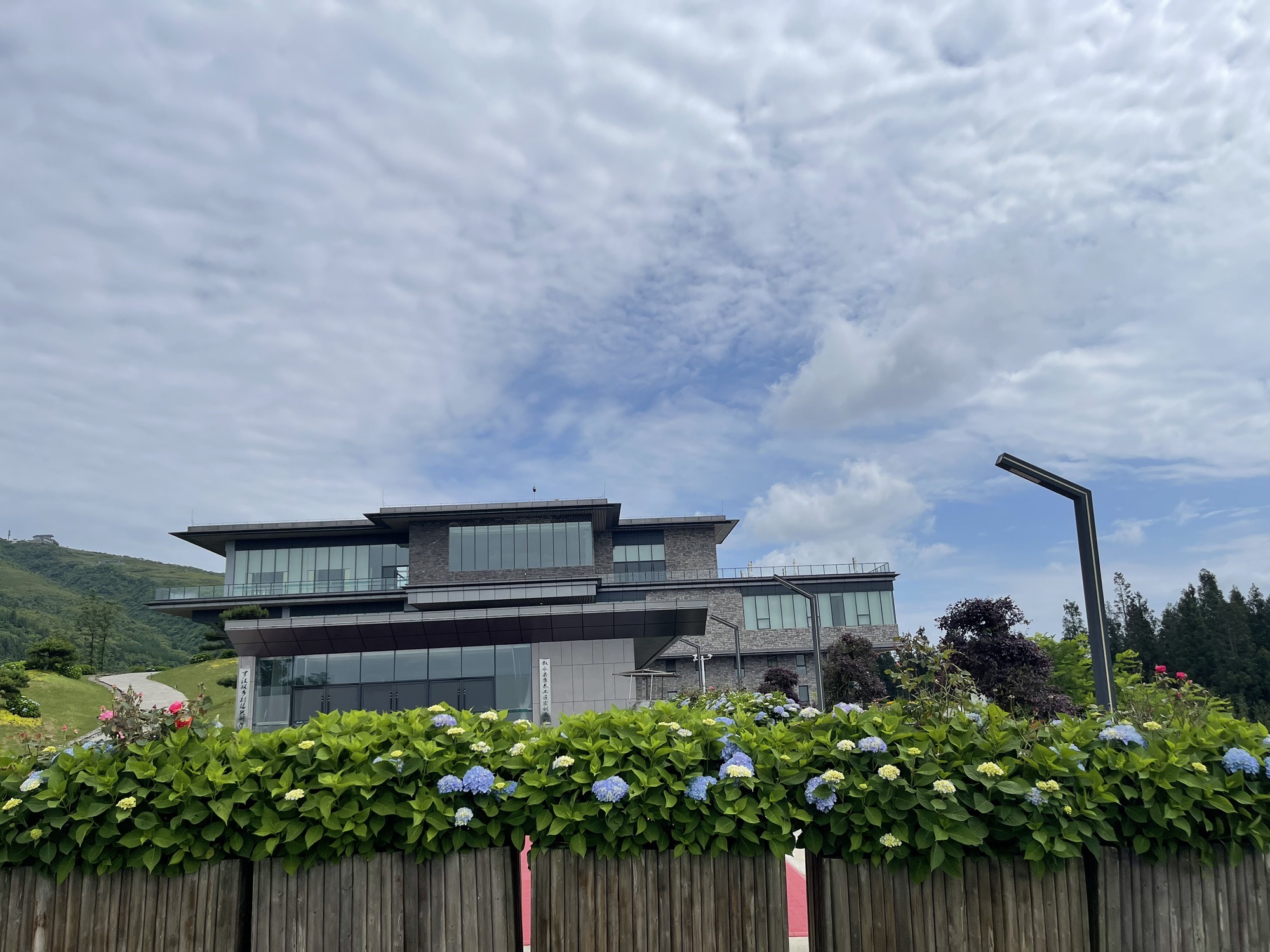 云端罗汉林旅行图片 2
