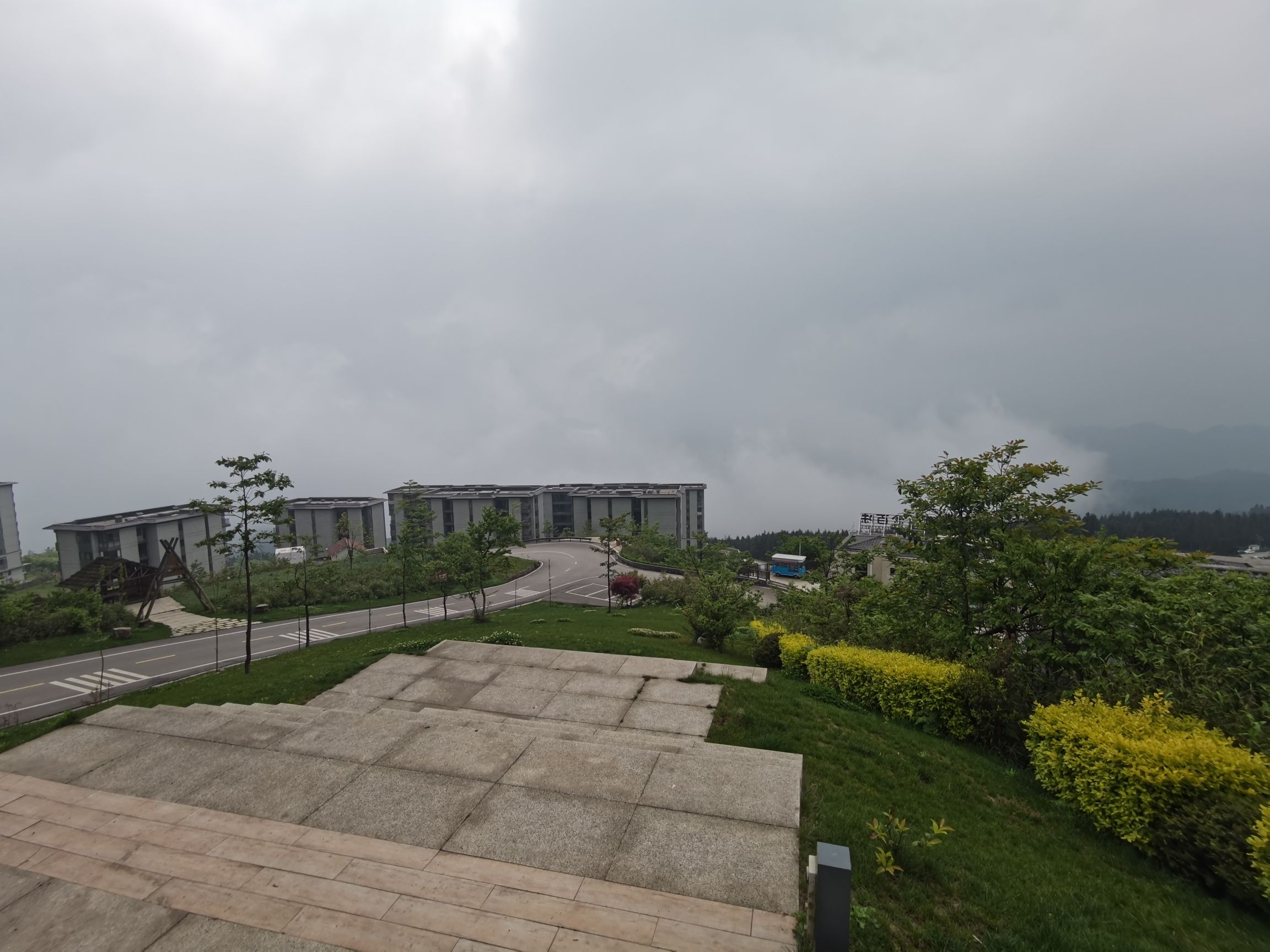 云端罗汉林旅行图片 3