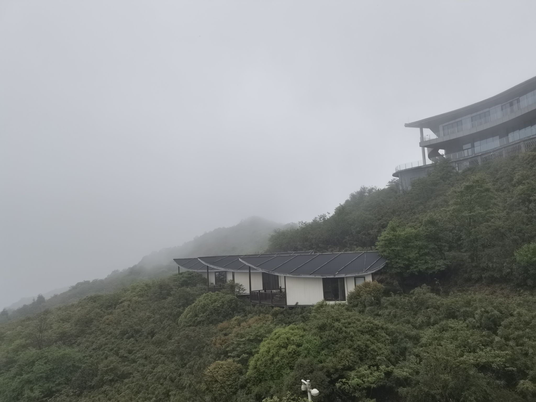 云端罗汉林旅行图片 2