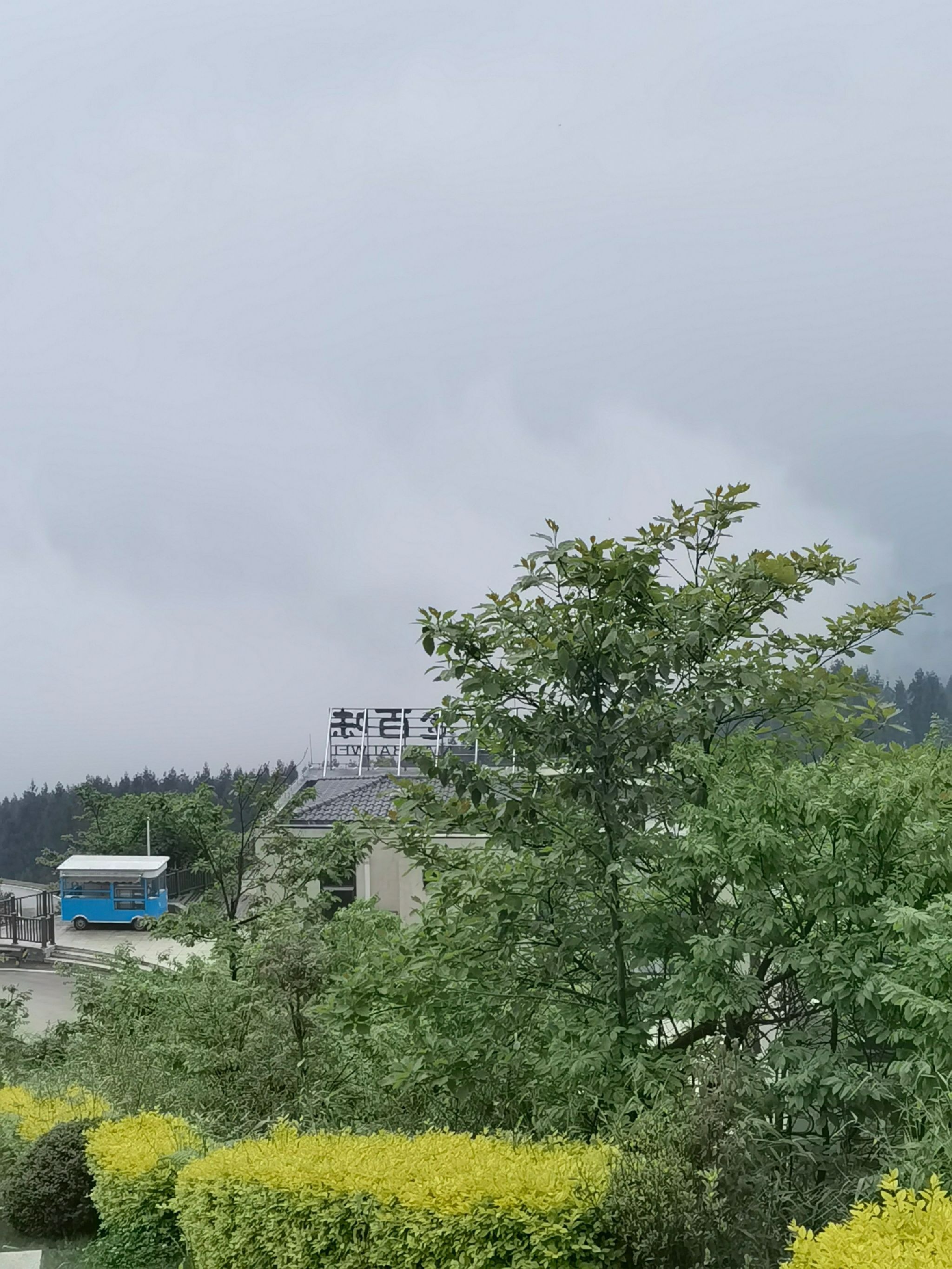 云端罗汉林旅行图片 1