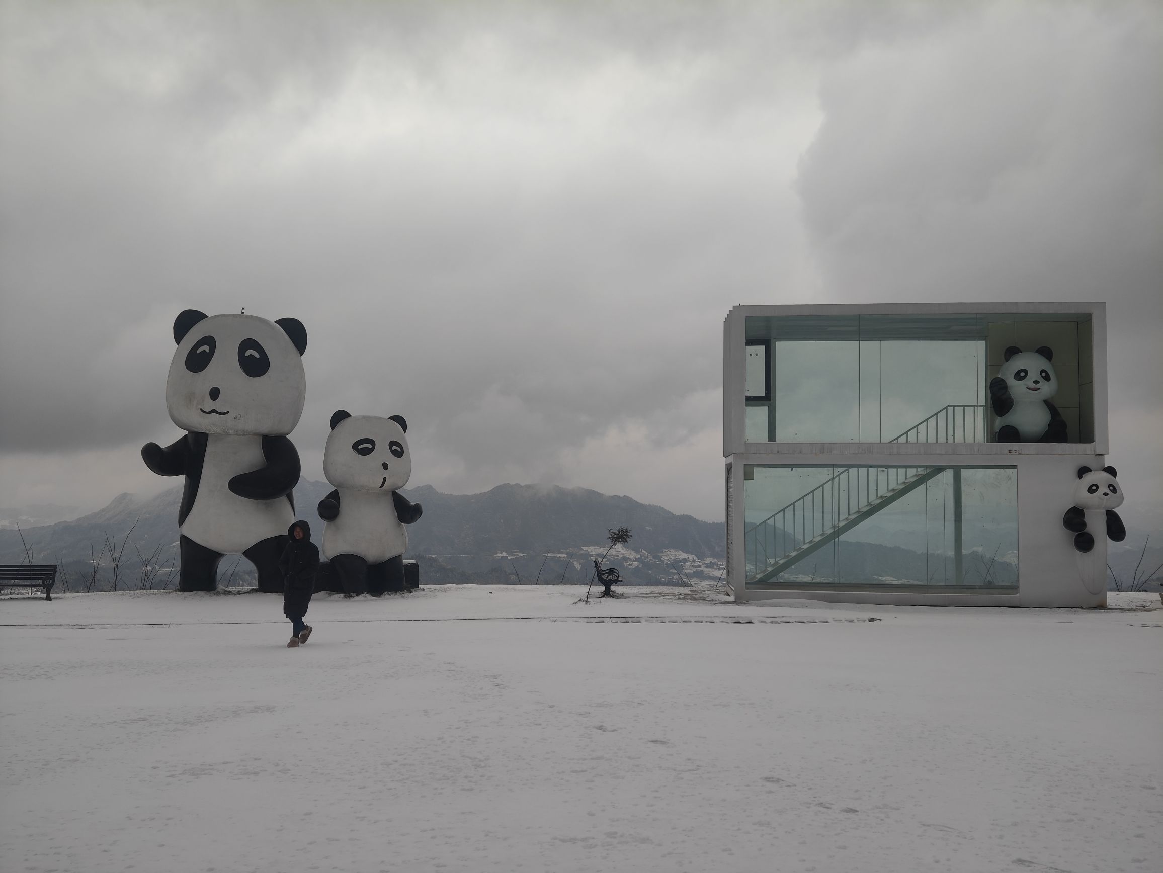 云端罗汉林旅行图片 3