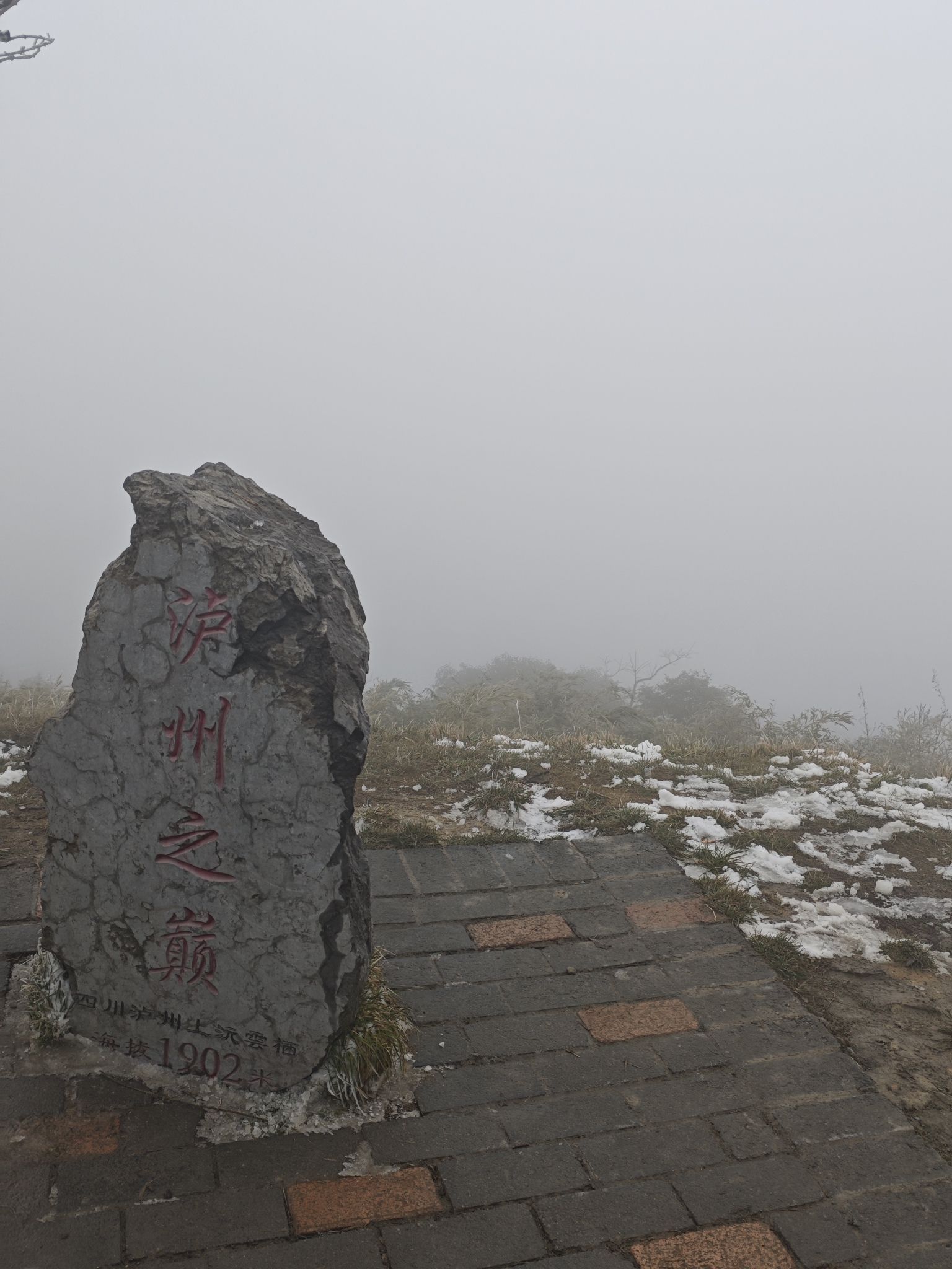 云端罗汉林旅行图片 1