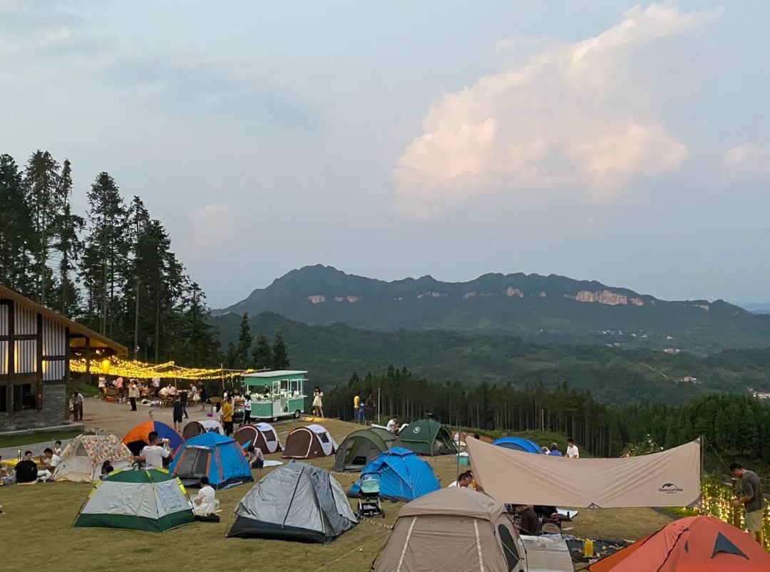 云端罗汉林旅行图片 1