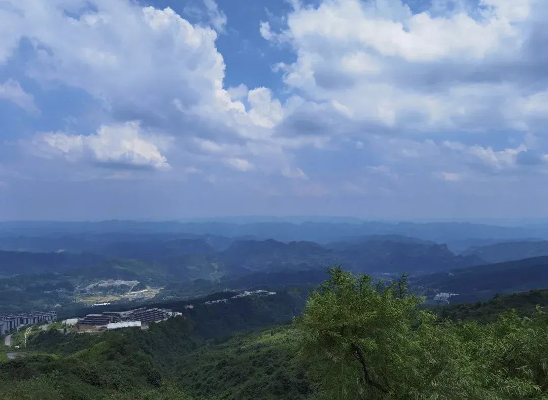 云端罗汉林旅行图片 2