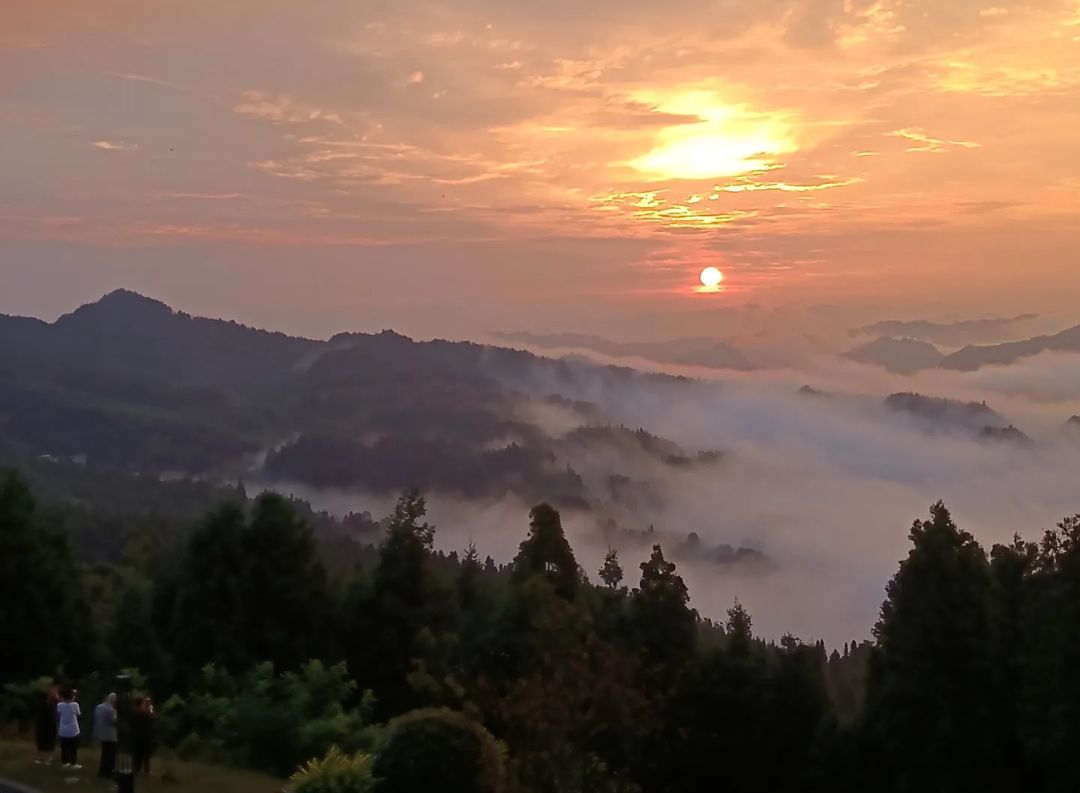 云端罗汉林旅行图片 3