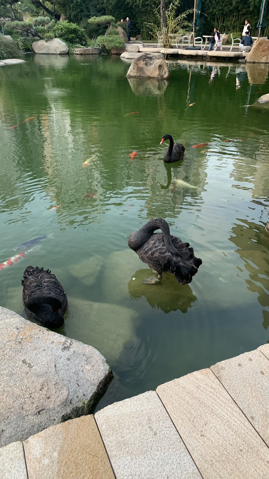月晟·艺博园旅行图片 2