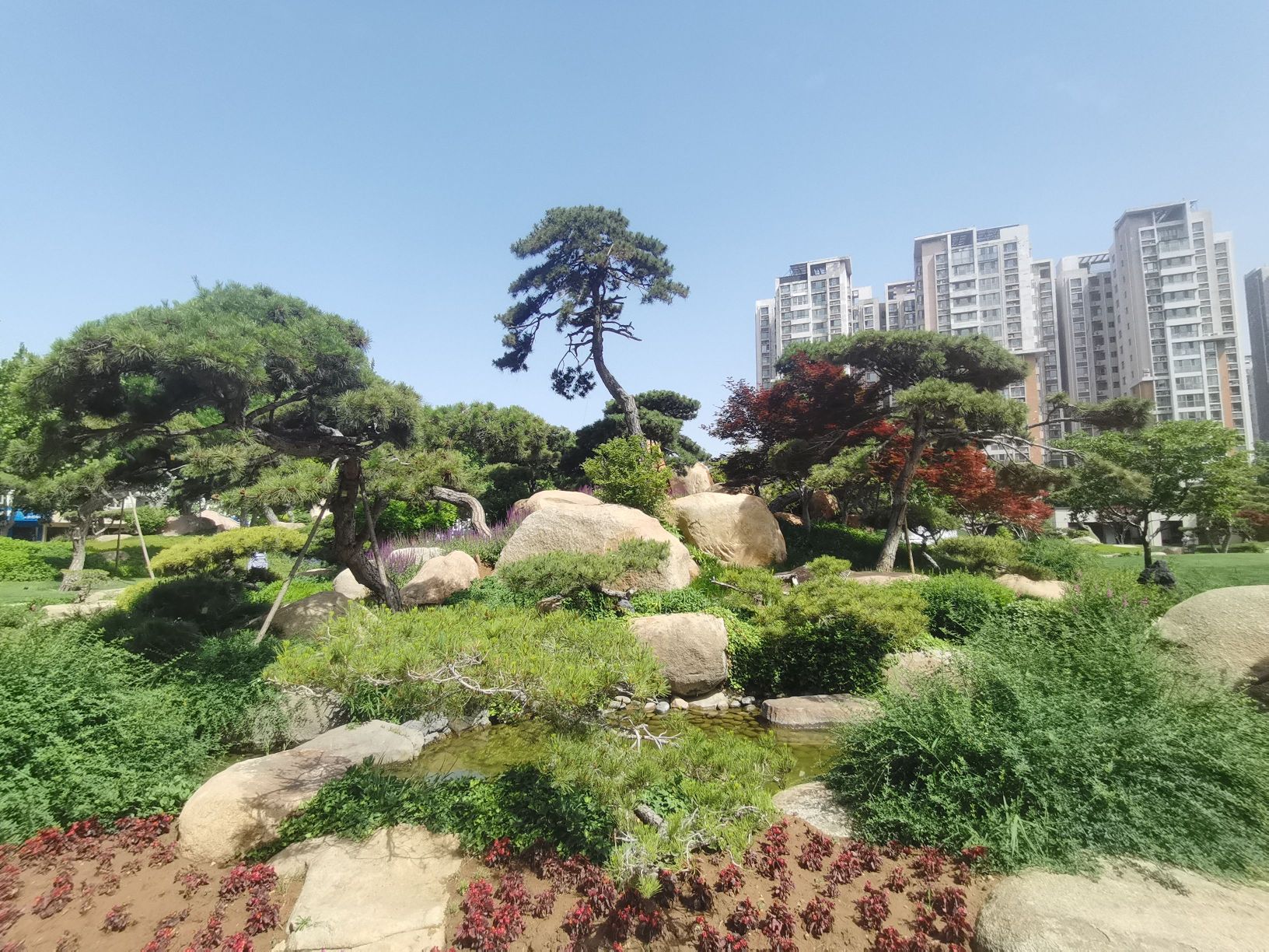 月晟·艺博园旅行图片 2