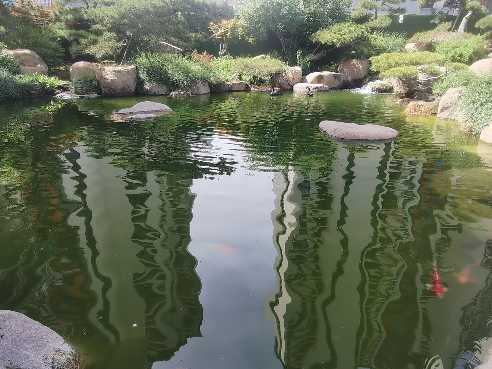 月晟·艺博园旅行图片 3