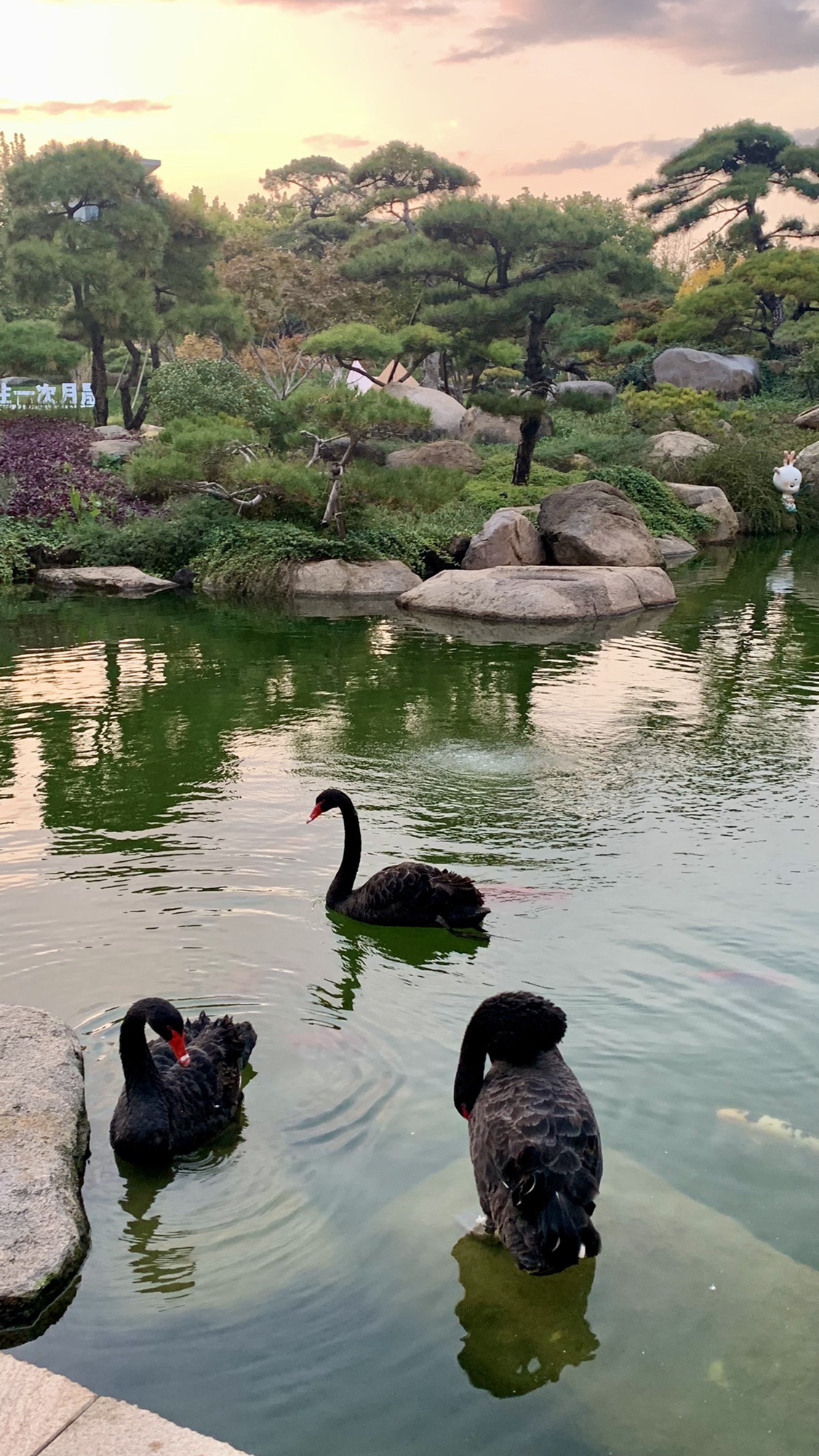 月晟·艺博园旅行图片 3