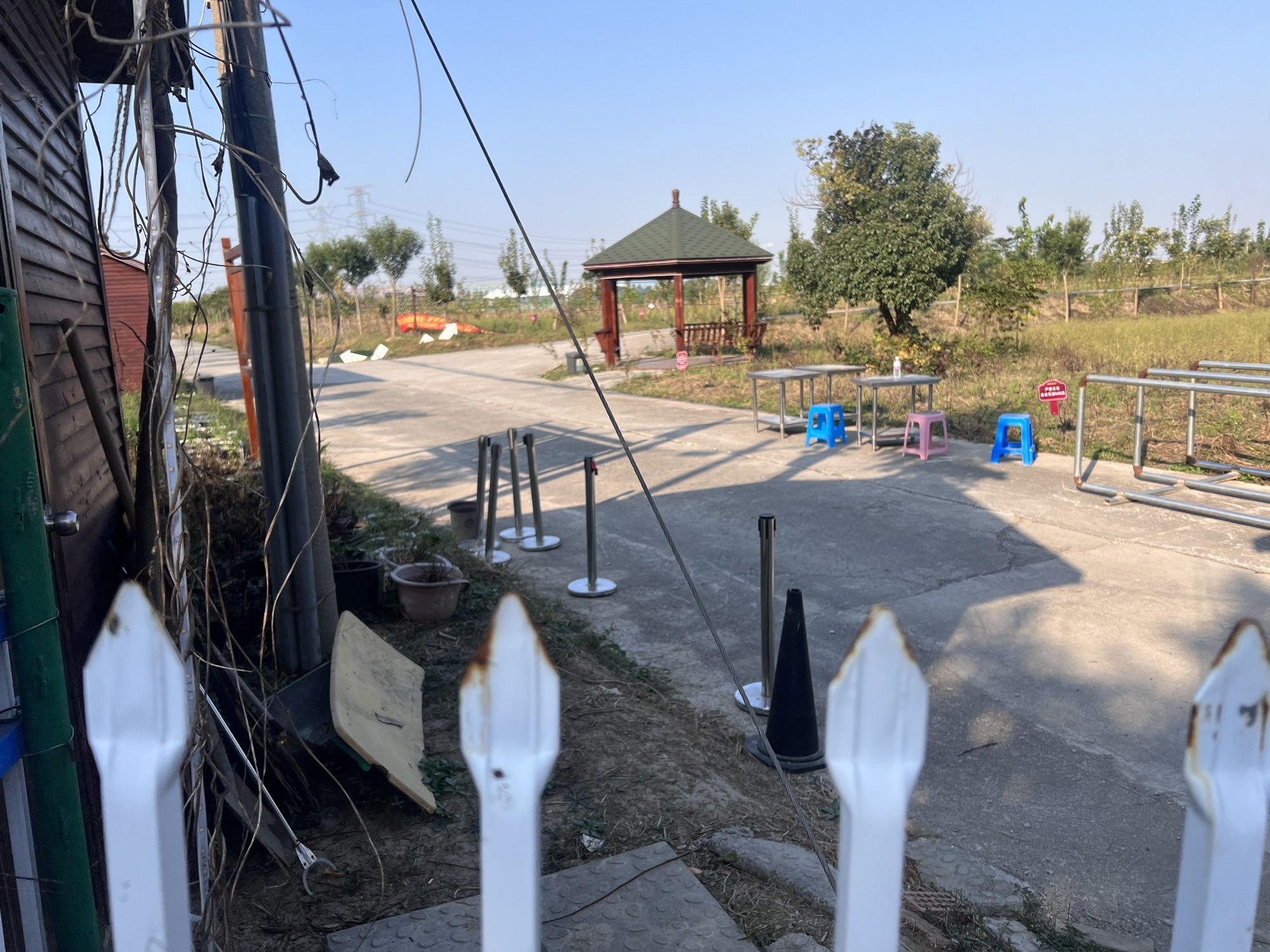 江南牡丹园旅行图片 3