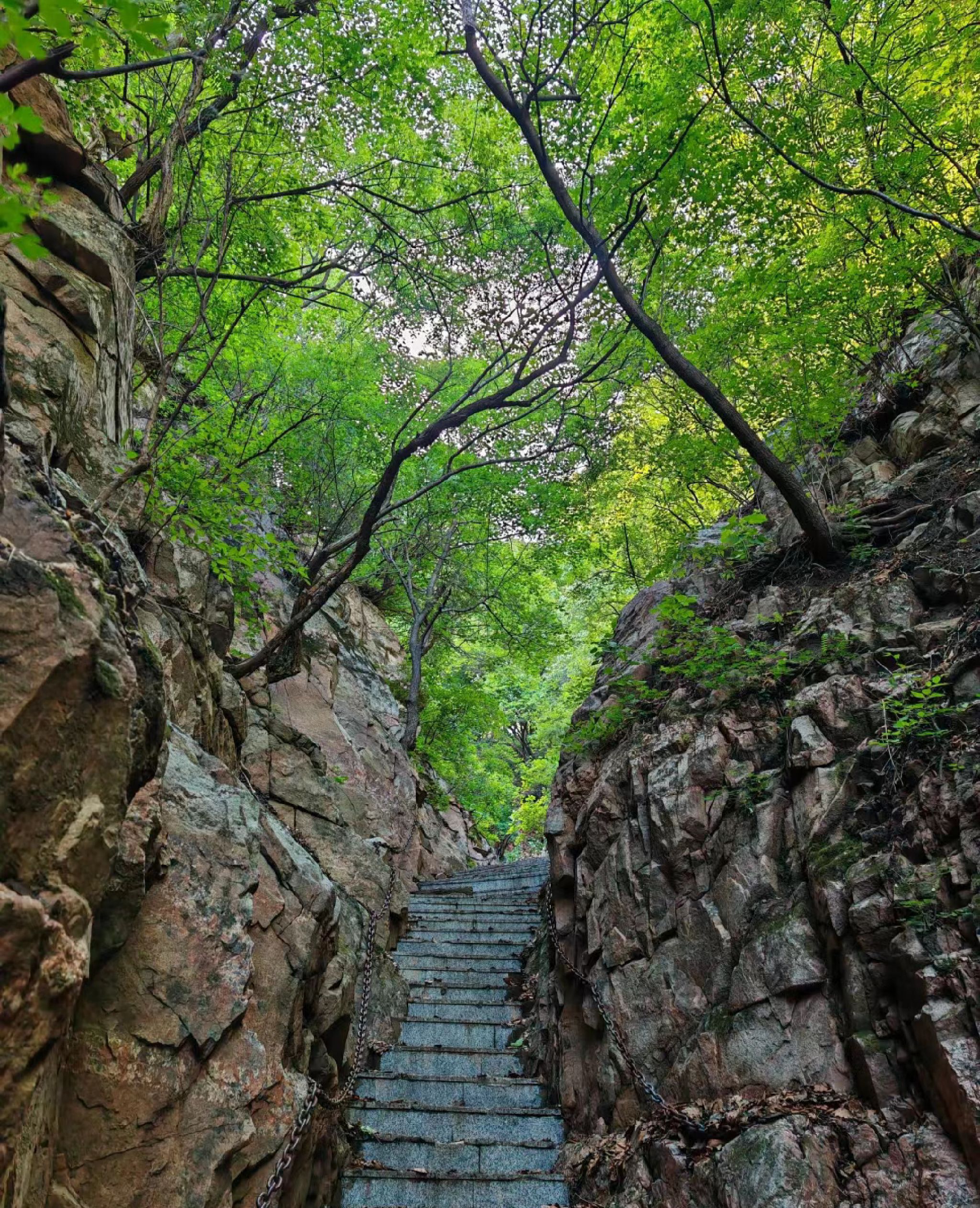 黑山大峡谷旅行图片 1