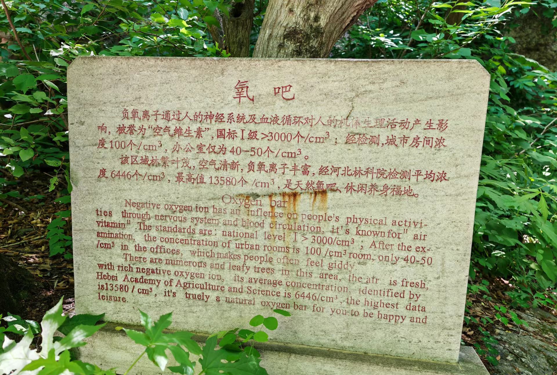 黑山大峡谷旅行图片 2