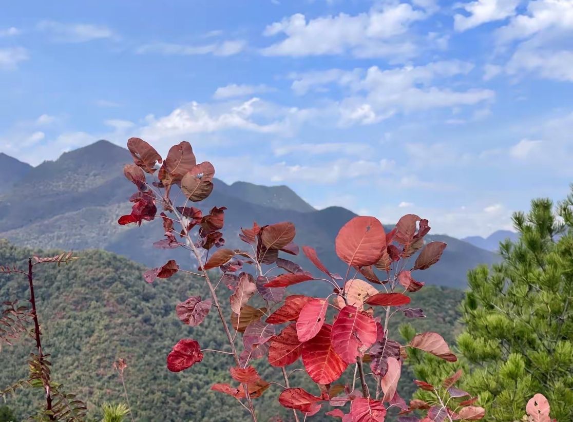 马泉沟景区旅行图片 3