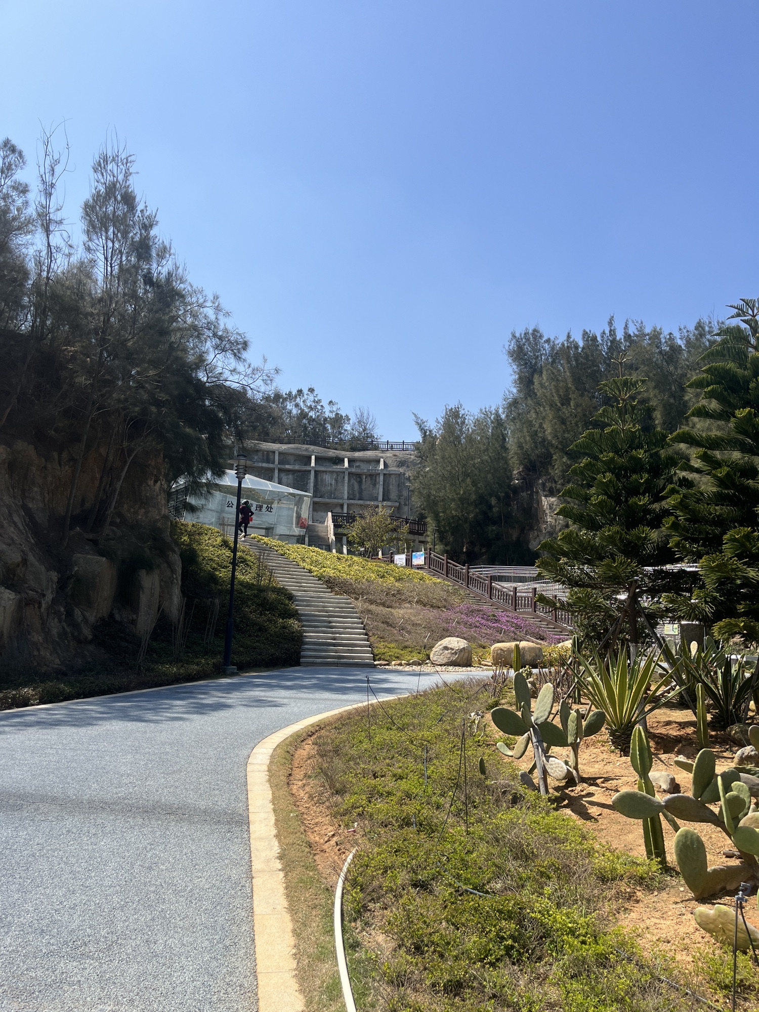 鸣凤山公园旅行图片 2