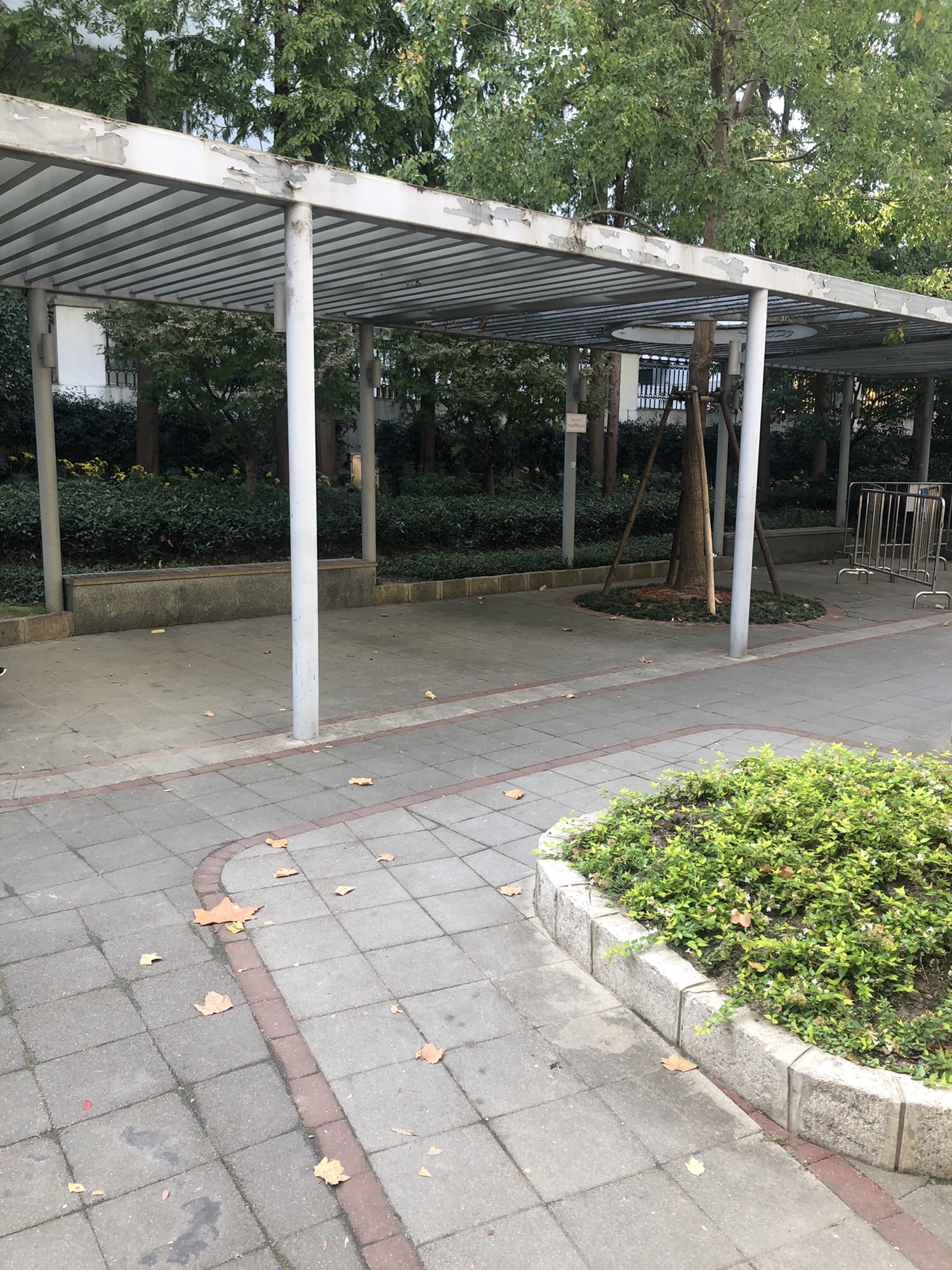 长征小花园旅行图片 2