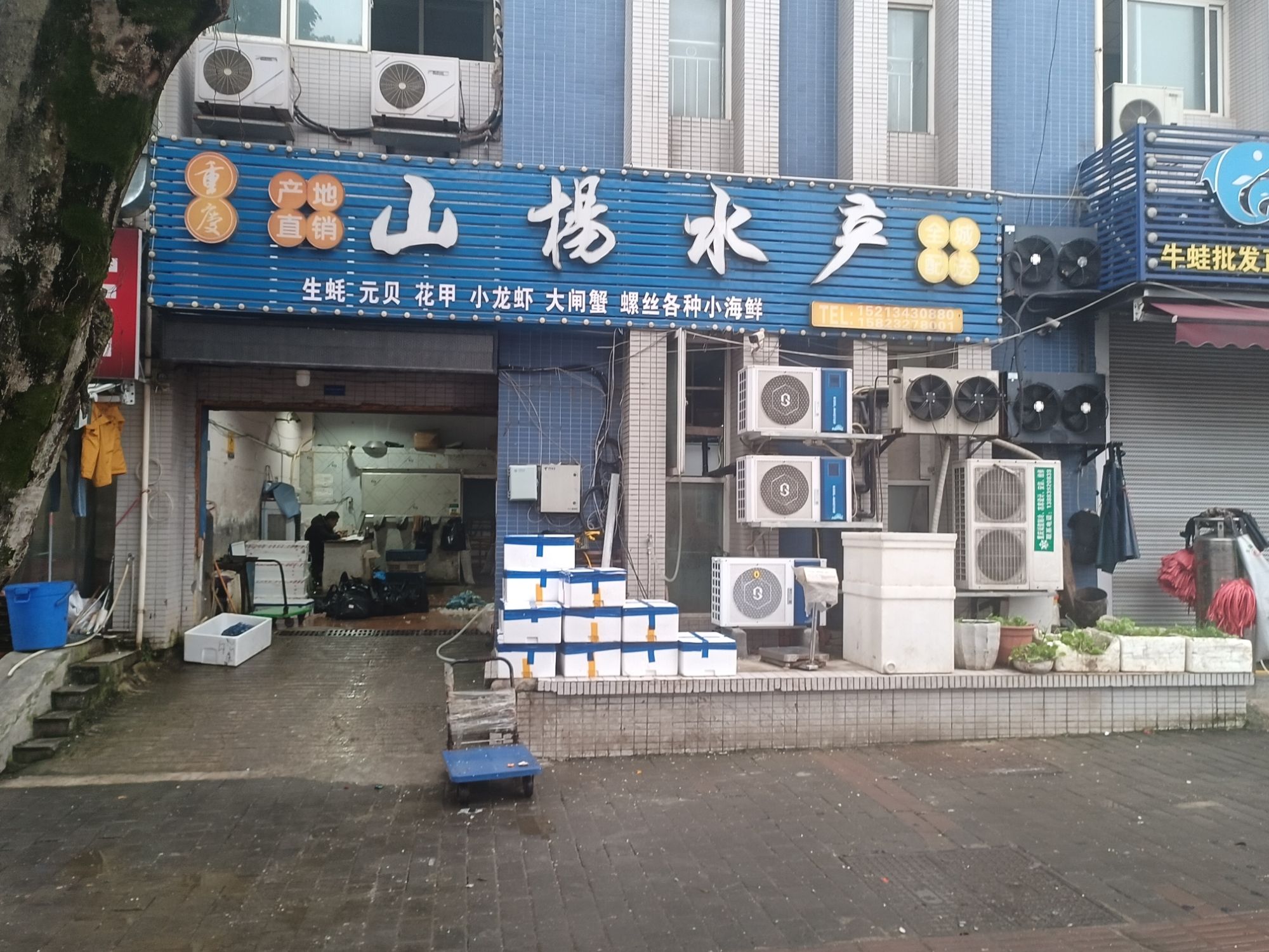山杨水产(三亚湾水产综合交易市场店)